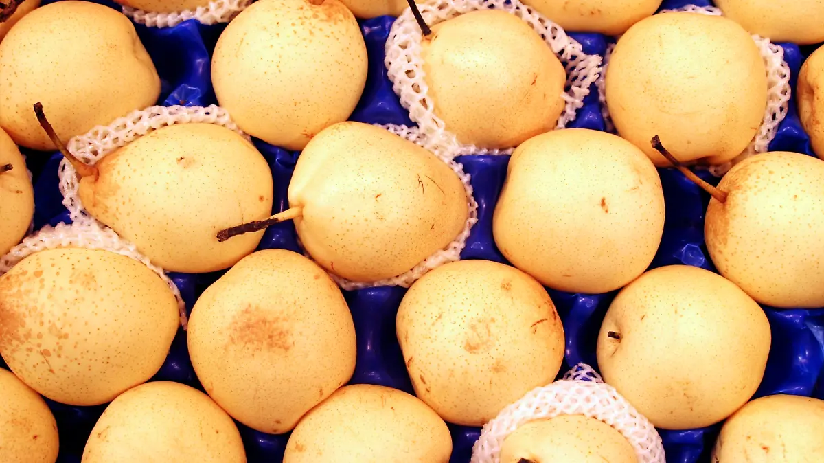 Nashi, Nashibirne, Nashi-Birne, Apfelbirne, Apfel-Birne, Chinesische Birne, Asienbirne, Asien-Birne (Pyrus pyrifolia), Nashibirnen in einer Steige | Shinseiki Asian pear, Asian pear, Nashi Pear (Pyrus pyrifolia)