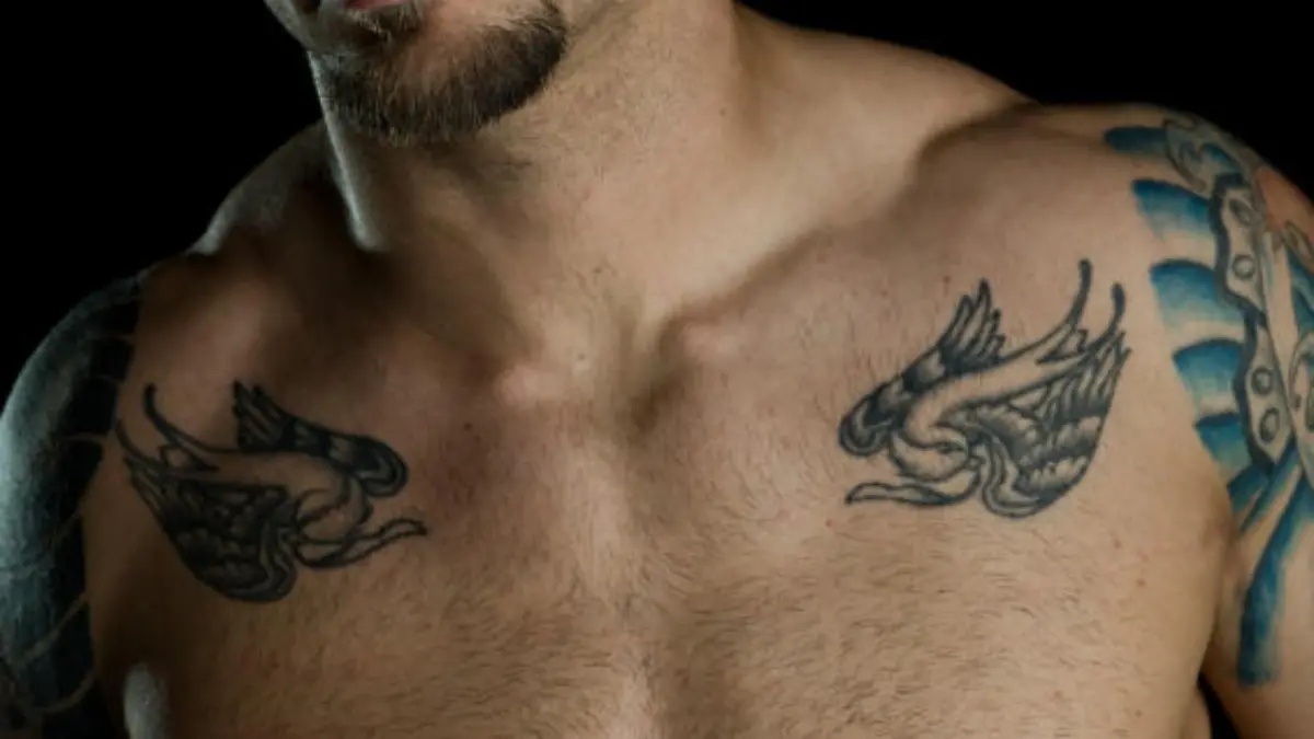Sexy muscular man wearing sunglasses with his shirt of showing tattoo's.Captured with a Nikon D3.[url=http://www.istockphoto.com/file_search.php?action=file&lightboxID=6063542][img]http://www.innovativephotography.net/istock/images/fitness.jpg[/img][/url]