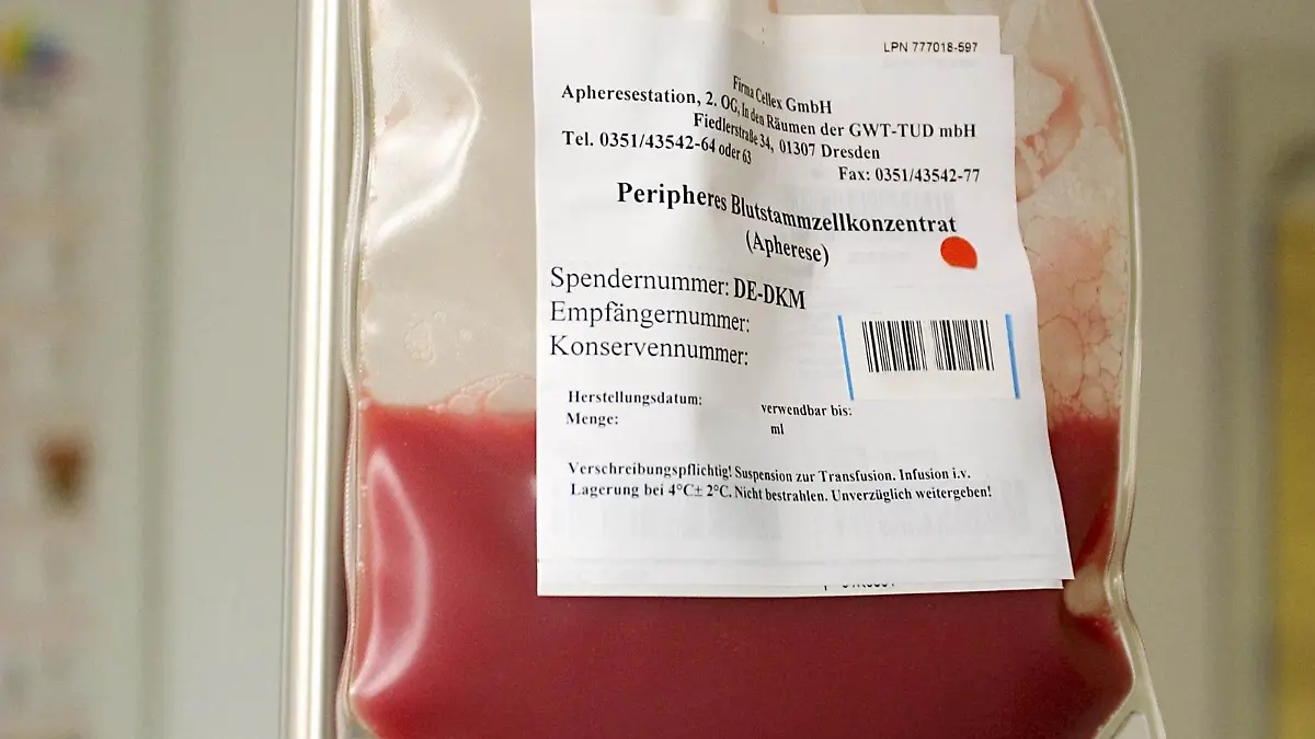 Stammzellen DKMS