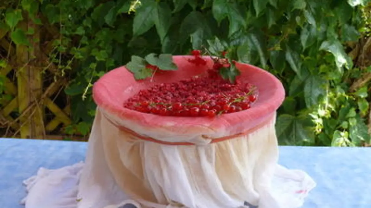 Johannisbeeren entsaften
