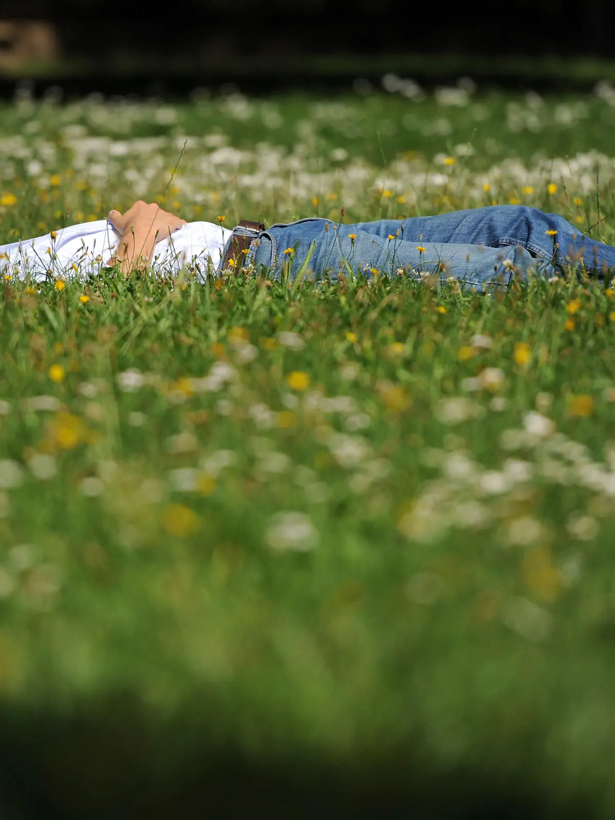 Ein Mann liegt am Montag (13.08.2012) in Berlin in einer Wiese im Park. Auch in den nächsten Tagen soll sich das Wetter für Ausflüge und Sonnenbäder eignen - es bleibt sommerlich warm. Foto: Britta Pedersen dpa/lbn  +++(c) dpa - Bildfunk+++