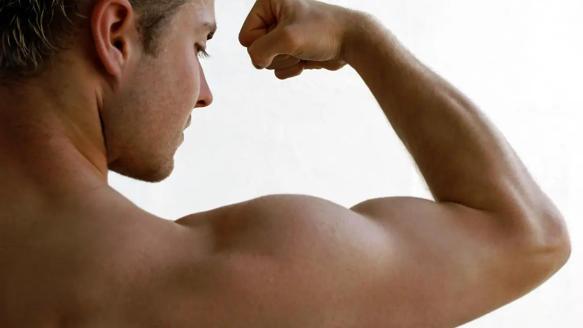 Ein Sportler zeigt die ausgeprägte Muskulatur seines Oberarms (Illustrationsfoto zum Thema Fitness, Körpertraining, Bodybuilder, aufgenommen im Oktober 2005). Foto: Hans Wiedl +++(c) dpa - Report+++