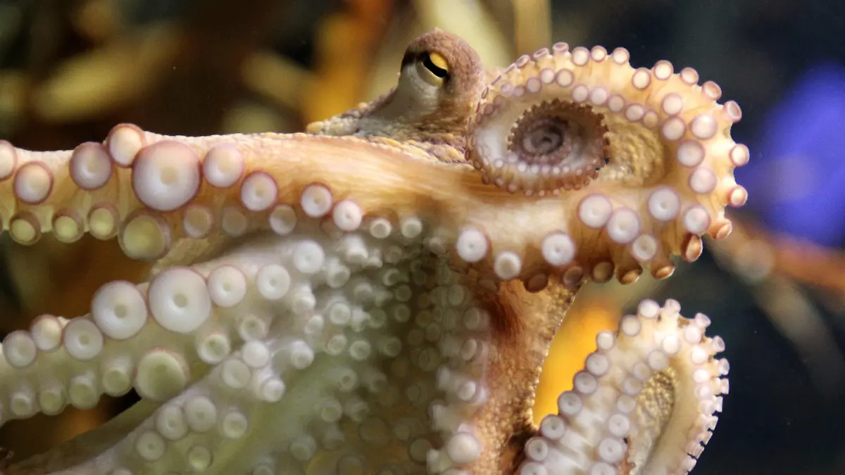 Kriminalbiologe-Mark-Benecke-emp-rt-ber-Tintenfisch-im-Wochenangebot-bei-Lidl