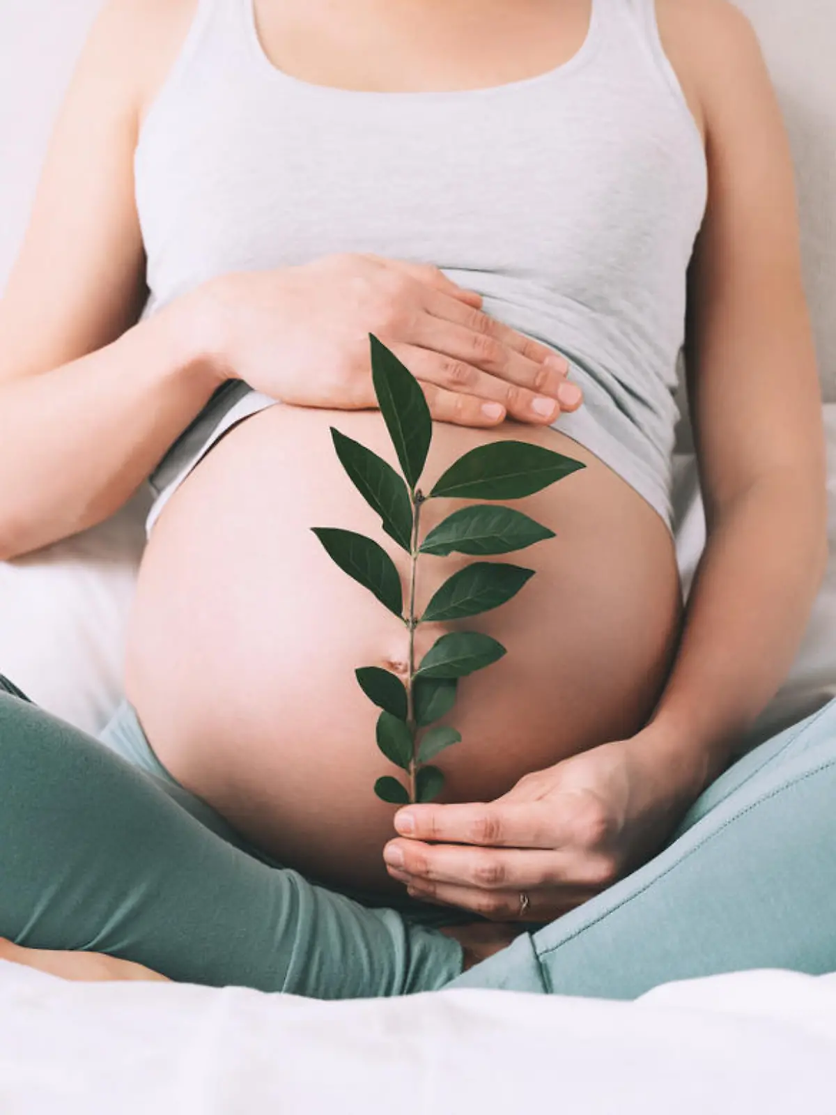 Pregnant woman holds green sprout plant near her belly as symbol of new life, wellbeing, fertility, unborn baby health. Concept pregnancy, maternity, eco sustainable lifestyle, gynecology.