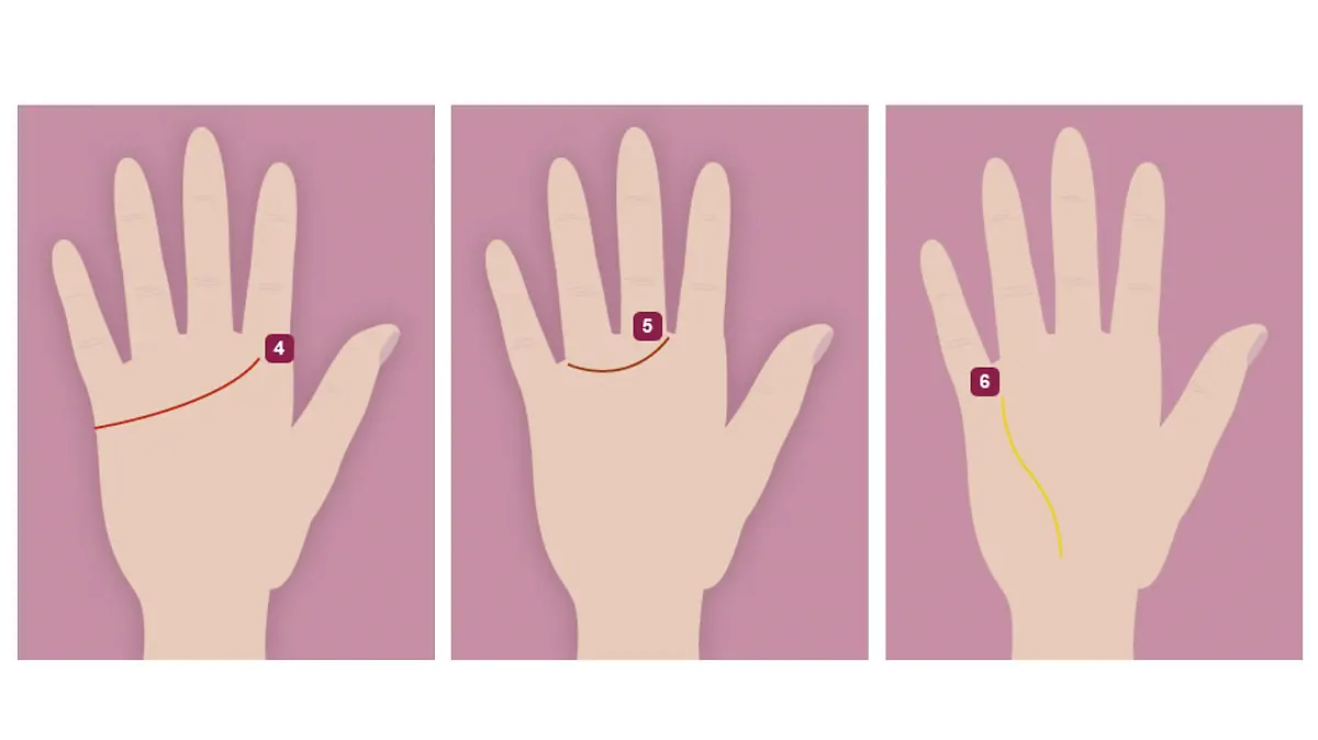 Handlinien: Herzlinie, Sexlinie und Sonnenlinie