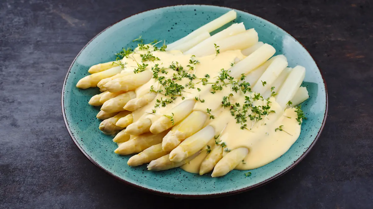 Modern style traditional steamed white asparagus with sauce hollandaise served herbs as close-up on a Nordic design plate on a rustic black board