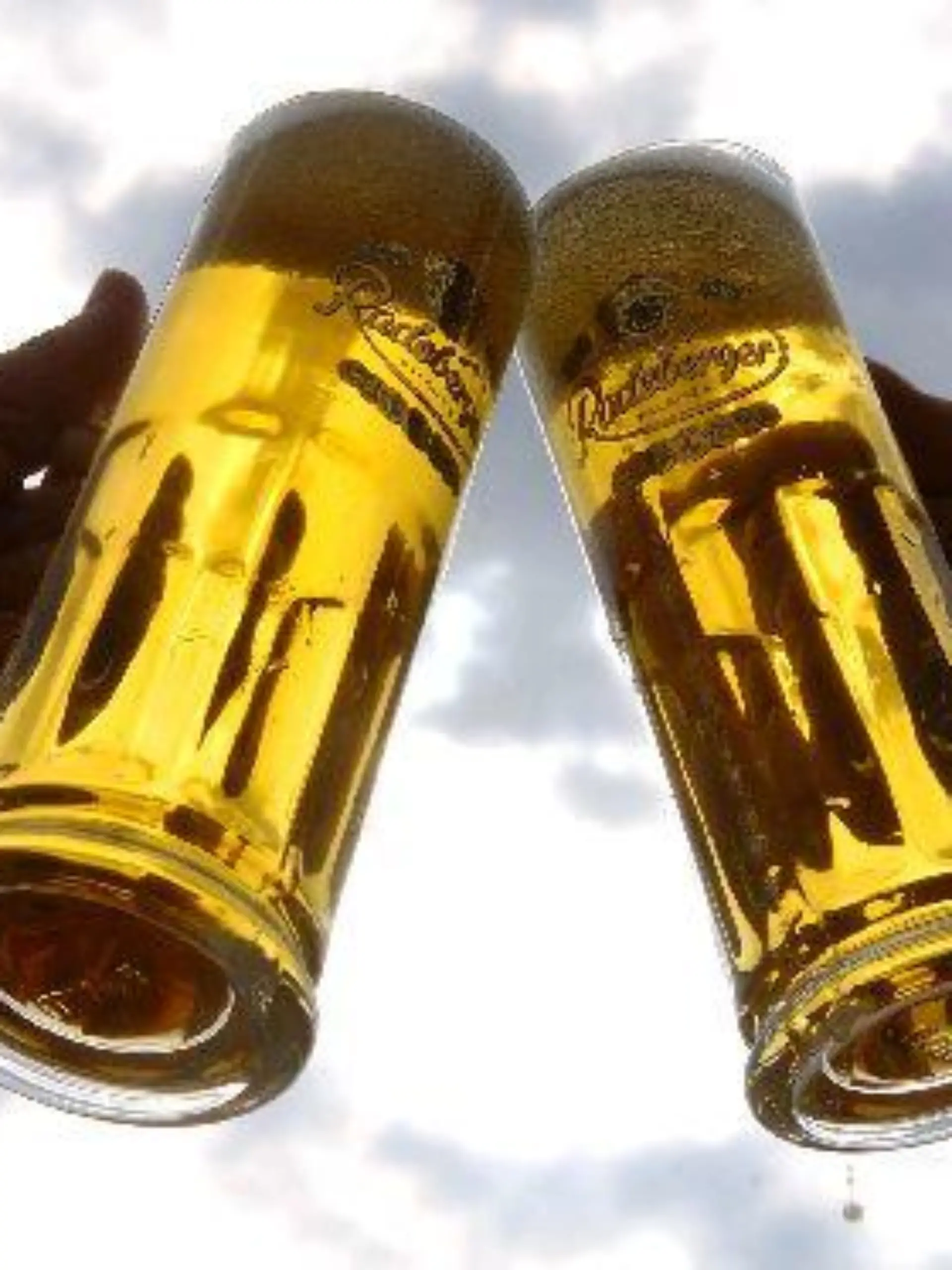 Potsdam (Brandenburg): Mit gefüllten Biergläsern wird am 22.04.2004 in einem Biergarten in Potsdam angestoßen. Am 23.04.2004 wird offiziell der "Tag des deutschen Bieres" gefeiert. Das Jubiläum wird seit 1994 regelmäßig begangen und soll an den Verkündungstag des Deutschen Reinheitsgebotes für Bier aus dem Jahre 1516 in Ingolstadt erinnern. Das Reinheitsgebot für Bier ist das älteste Lebensmittelgesetz der Welt.
