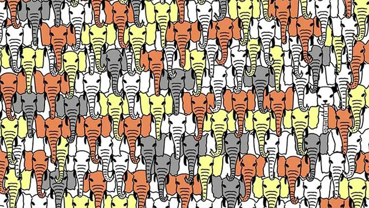 Keine leichte Aufgabe