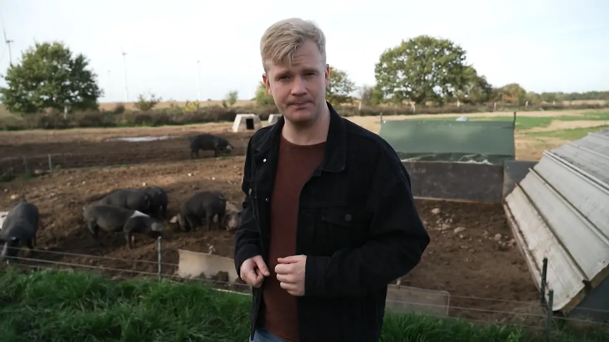 Schweine-Leasing