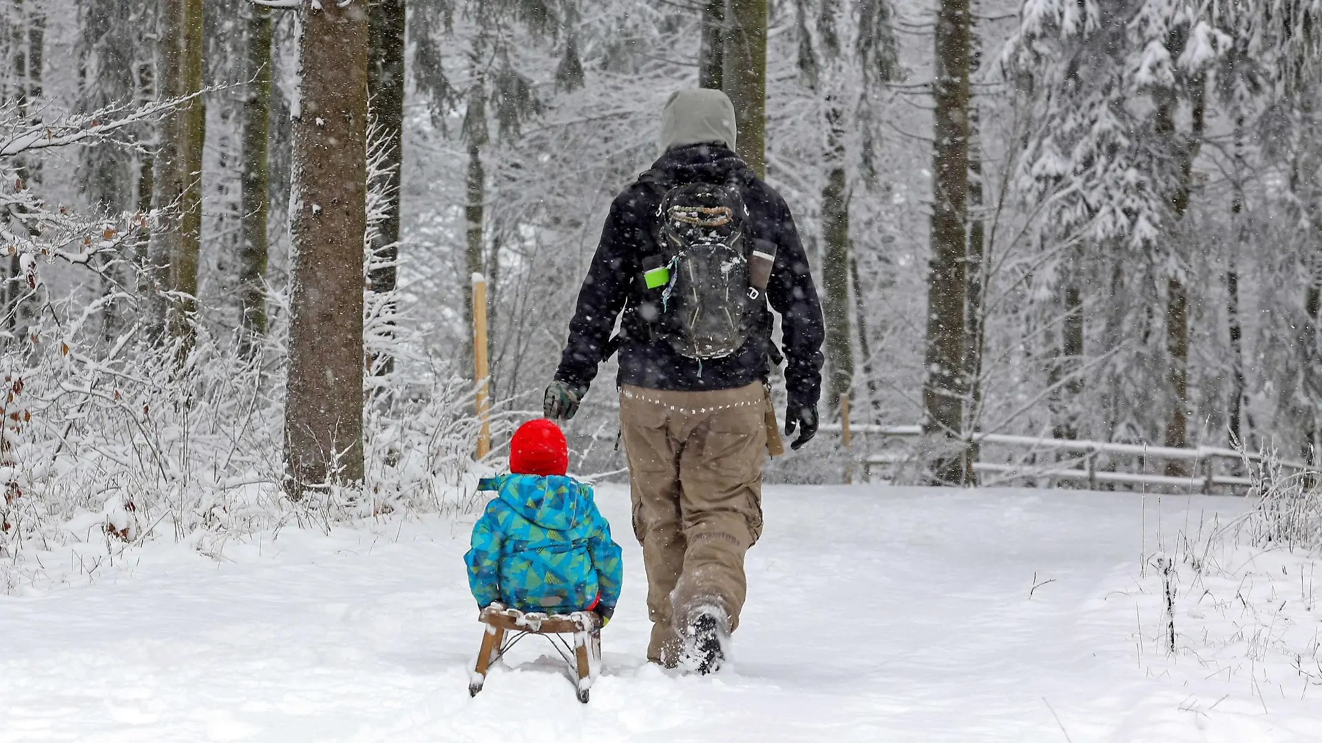 Das Jahr 2020 endet im Siegerland in den hoeheren Lagen mit viel Schnee, ein Mann geht mit Rucksack, Schlitten und Kind im Winterwald in der Naehe vom Forsthaus Hohenroth spazieren Winter im Siegerland am 31.12.2020 in Netphen/Deutschland. *** The year 2020 ends in the Siegerland in the higher altitudes with a lot of snow, a man walks with backpack, sled and child in the winter forest near the foresters lodge Hohenroth winter in the Siegerland on 31 12 2020 in Netphen Germany
