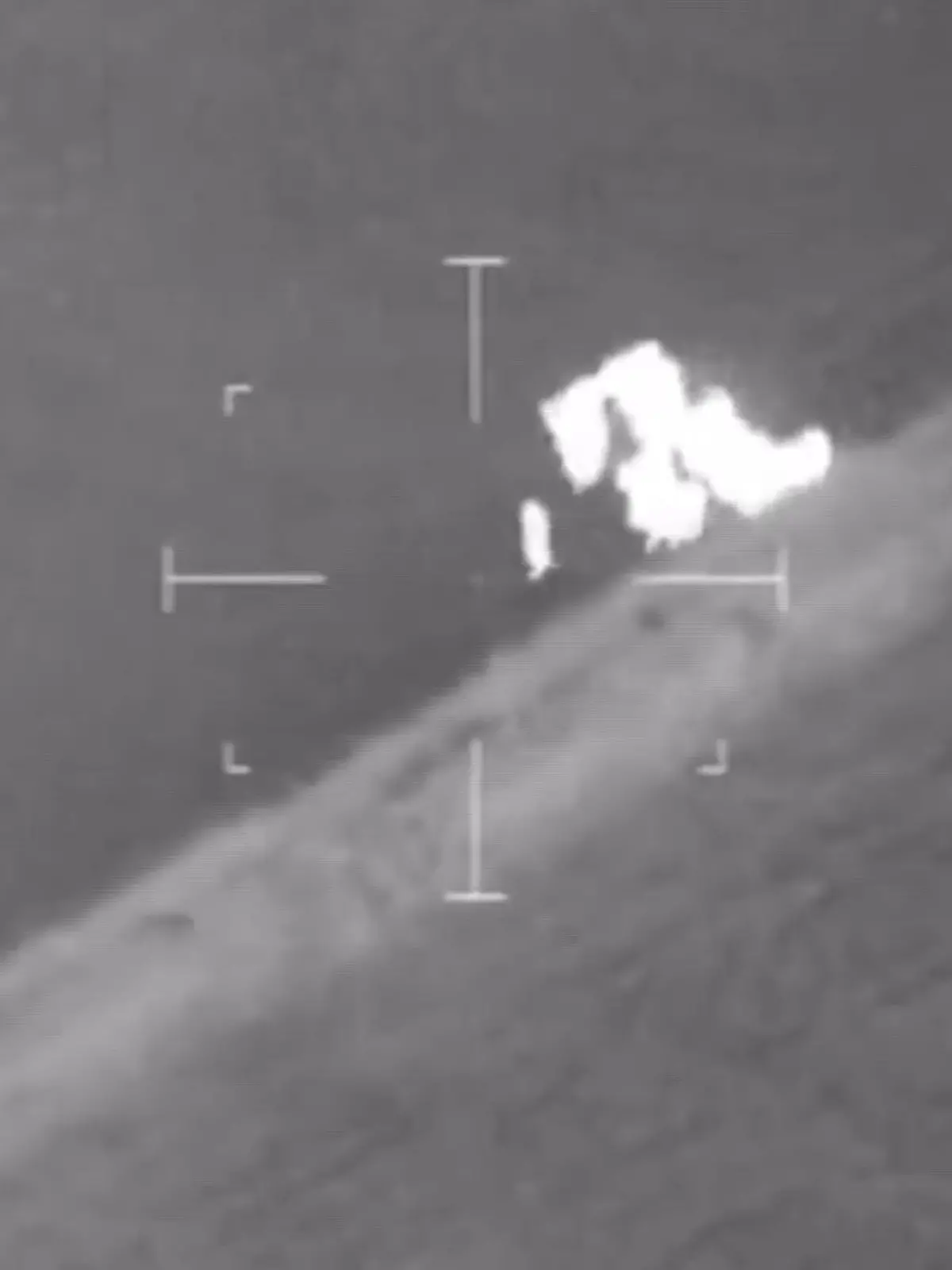 Diese Spezialeinheit verdient einen Orden: Auf der Flucht vor der Polizei hat ein Mann das falsche Feld betreten! Was Sie hier sehen, kann man schon fast Selbst-Kuh-stiz nennen, Denn der flüchtige Mann wird von einer Herde Kühe verfolgt!