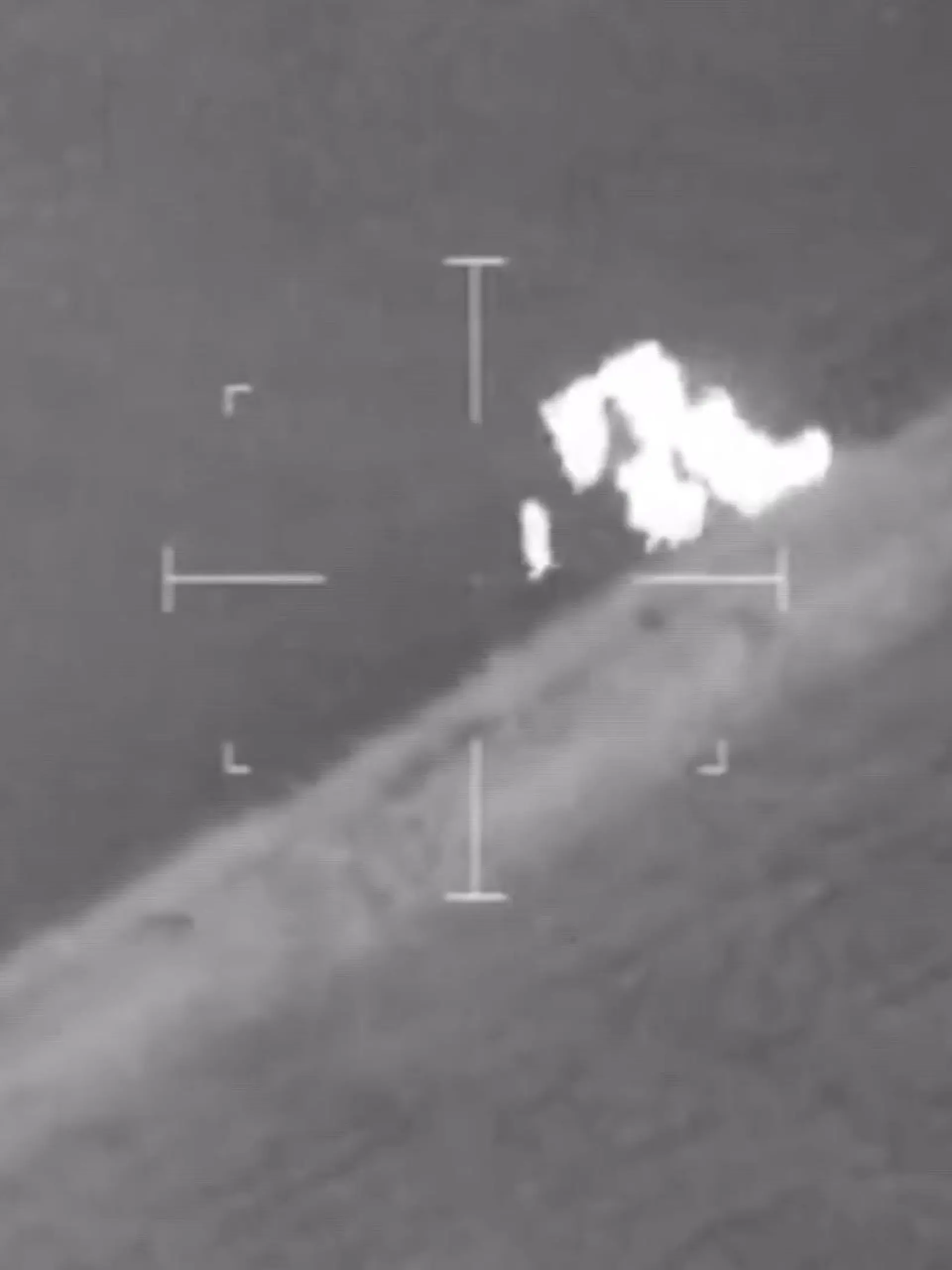 Diese Spezialeinheit verdient einen Orden: Auf der Flucht vor der Polizei hat ein Mann das falsche Feld betreten! Was Sie hier sehen, kann man schon fast Selbst-Kuh-stiz nennen, Denn der flüchtige Mann wird von einer Herde Kühe verfolgt!