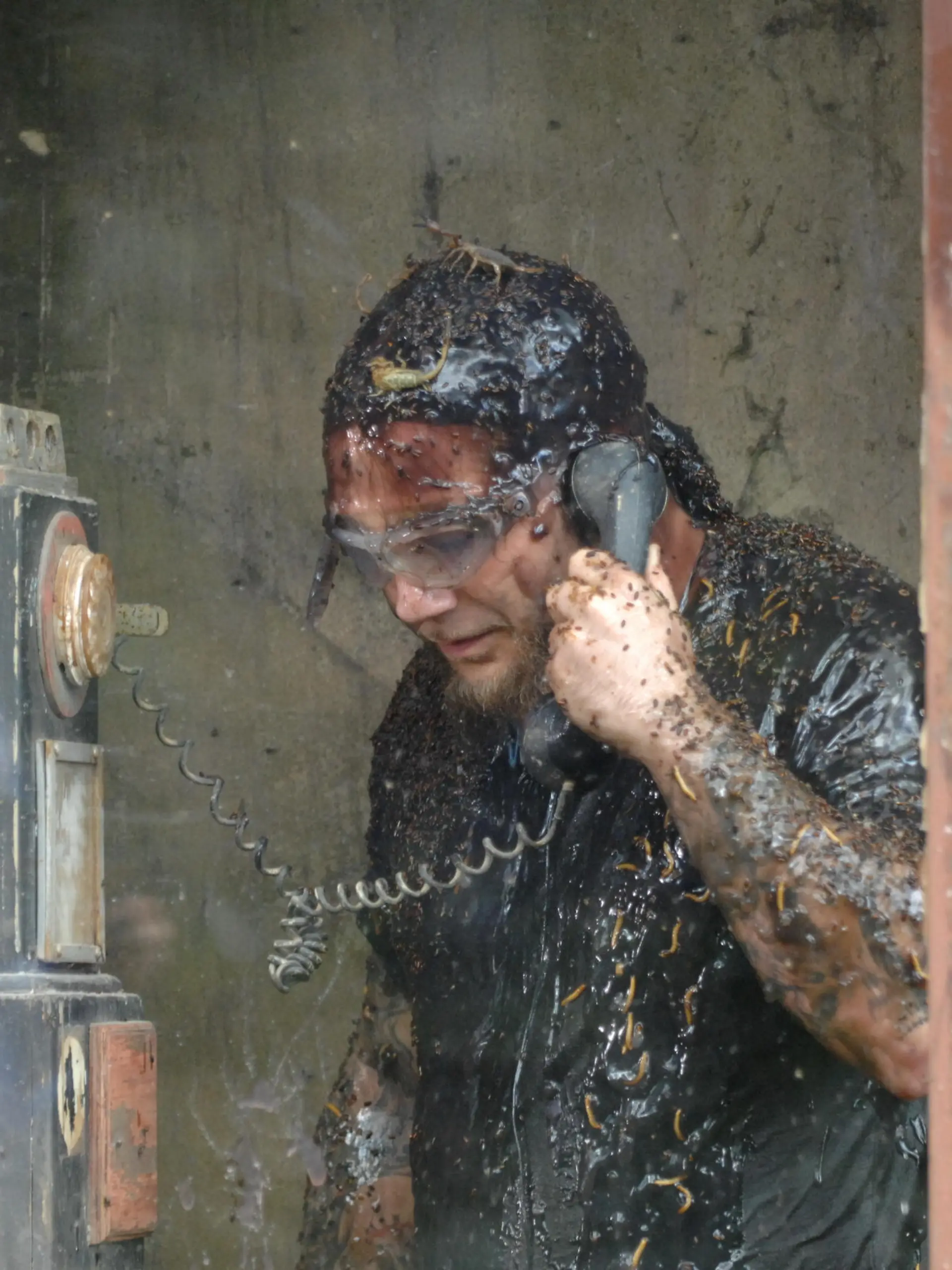 Tag 7 - Dschungelprüfung 07 "Telefon des Grauens": Martin Kesici muss am Telefon fragen beantworten, während ihn div. 'Überraschungen' ablenken. Frage 10: "In welcher Stadt befindet sich das höchste Gebäude der Welt? Dubai, Shanghai oder New York" - Antwort: "Dubai" - richtig! Mittlerweile sitzen fünf Skorpione auf Martins Kopf. # Foto: RTL / Stefan Menne

Verwendung der Bilder für Online-Medien ausschließlich mit folgender Verlinkung: 'Alle Infos zu 'Ich bin ein Star - Holt mich hier raus!' im Special bei RTL.de: http://www.rtl.de/cms/sendungen/ich-bin-ein-star.html'

NUR ZUR EINMALIGEN VERÖFFENTLICHUNG ! KEINE WEITERGABE AN DRITTE ! 
KEINE VERWENDUNG NACH DEM 05.03.2012 !! KEINE ARCHIVIERUNG !

Suchbegriff: Dschungelcamp *** Local Caption *** Die Verwendung des RTL-Bildmaterials ist nur zur redaktionellen Berichterstattung im Zusammenhang mit der jeweiligen Sendung unter Angabe der Credits/Quellenangaben [Foto: RTL / Stefan Menne] und Beachtung der unter http://kommunikation.RTL.de genannten Nutzungsbeschränkung erlaubt.

Verwendung der Bilder für Online-Medien ausschließlich mit folgender Verlinkung: 'Alle Infos zu 'Ich bin ein Star - Holt mich hier raus!' im Special bei RTL.de: http://www.rtl.de/cms/sendungen/ich-bin-ein-star.html'

NUR ZUR EINMALIGEN VERÖFFENTLICHUNG ! KEINE WEITERGABE AN DRITTE ! 
KEINE VERWENDUNG NACH DEM 05.03.2012 !! KEINE ARCHIVIERUNG !
