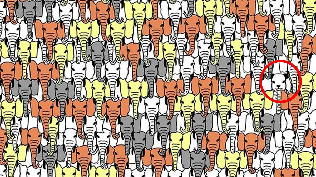 Wenn Sie schnell waren, haben Sie gute Augen