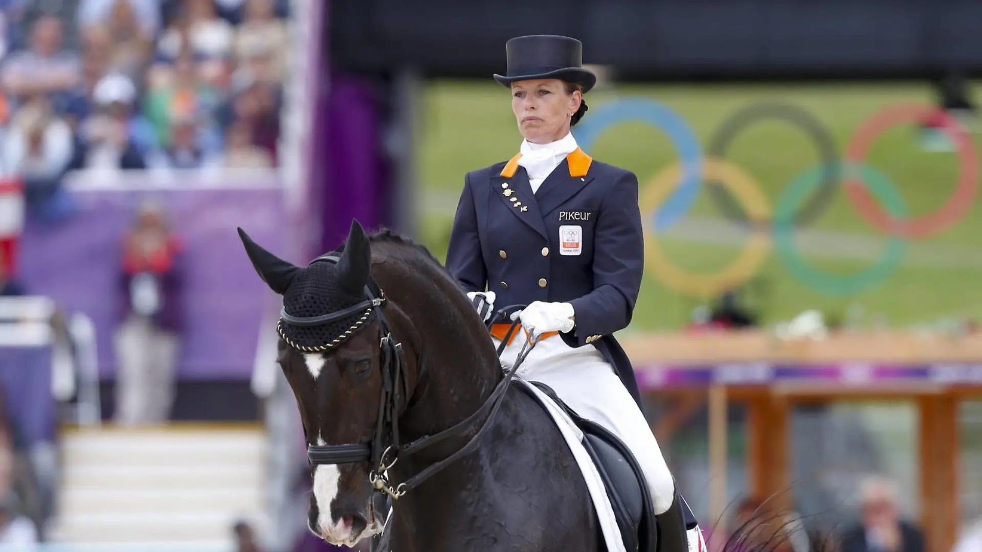 Bildnummer: 11162584  Datum: 07.08.2012  Copyright: imago/Rau
Olympische Spiele London Greenwich Park 07.08.2012 Dressur Mannschaftswertung Grand Prix Special: Anky van Grunsven (NED) und Salinero ; Olympia London Olympische Spiele Sommerspiele Sommer Dressur Pferdesport x0x xkg 2012 hoch Pferdesport Reiten Dressur Dressurreiten 

Image number 11162584 date 07 08 2012 Copyright imago Tough Olympic Games London Greenwich Park 07 08 2012 Dressage Team standings Grand Prix Special Anky van Grunsven NED and Salinero Olympia London Olympic Games Summer Games Summer Dressage Equestrian sports x0x xkg 2012 vertical Equestrian sports riding Dressage Dressage  