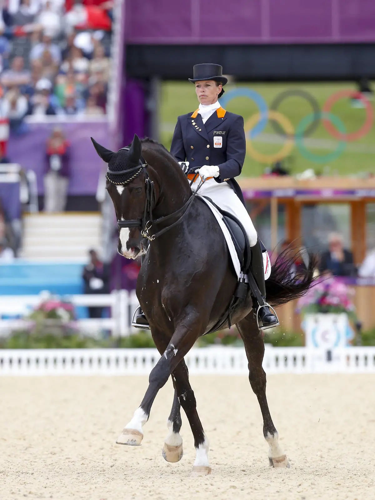 Bildnummer: 11162584  Datum: 07.08.2012  Copyright: imago/Rau
Olympische Spiele London Greenwich Park 07.08.2012 Dressur Mannschaftswertung Grand Prix Special: Anky van Grunsven (NED) und Salinero ; Olympia London Olympische Spiele Sommerspiele Sommer Dressur Pferdesport x0x xkg 2012 hoch Pferdesport Reiten Dressur Dressurreiten 

Image number 11162584 date 07 08 2012 Copyright imago Tough Olympic Games London Greenwich Park 07 08 2012 Dressage Team standings Grand Prix Special Anky van Grunsven NED and Salinero Olympia London Olympic Games Summer Games Summer Dressage Equestrian sports x0x xkg 2012 vertical Equestrian sports riding Dressage Dressage  