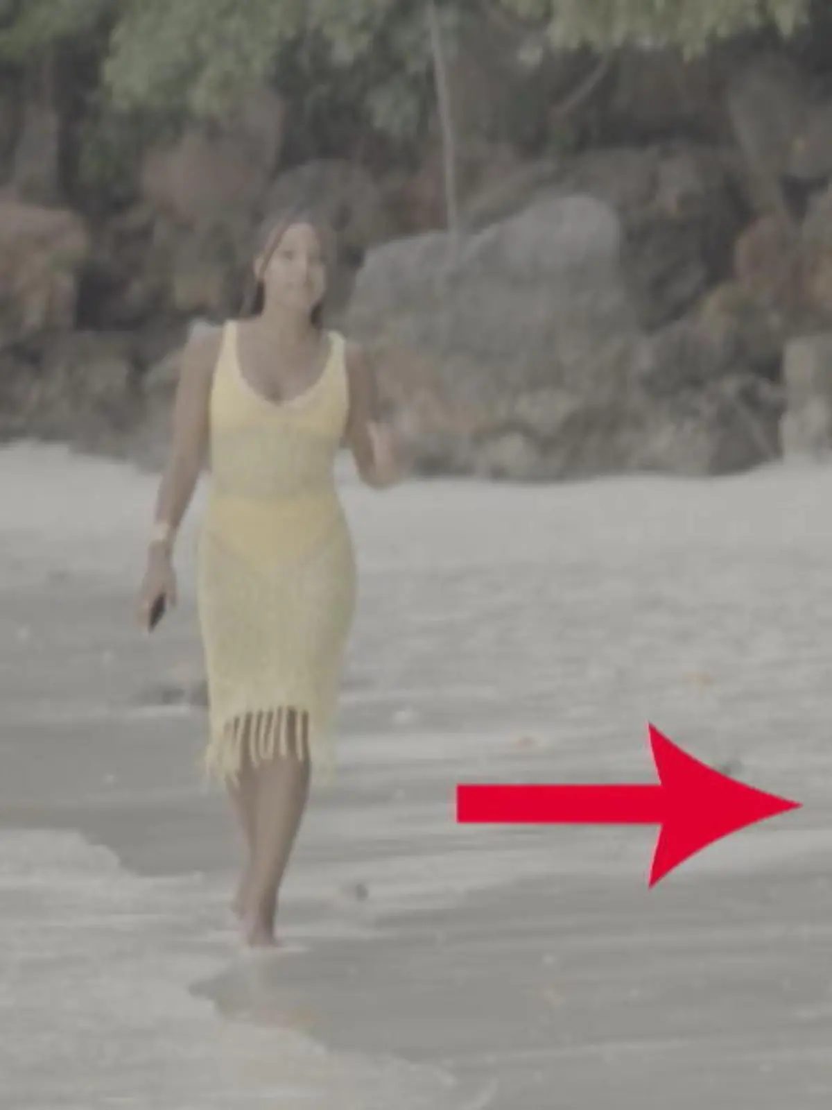 Influencer nehmen scheinbar große Risiken in Kauf, wenn es darum geht, den perfekten Schnappschuss einzufangen. Eine Influencerin wollte sich am Monkey Beach in Thailand fotografieren - ein Affe macht ihr aber einen Strich durch die Rechnung.