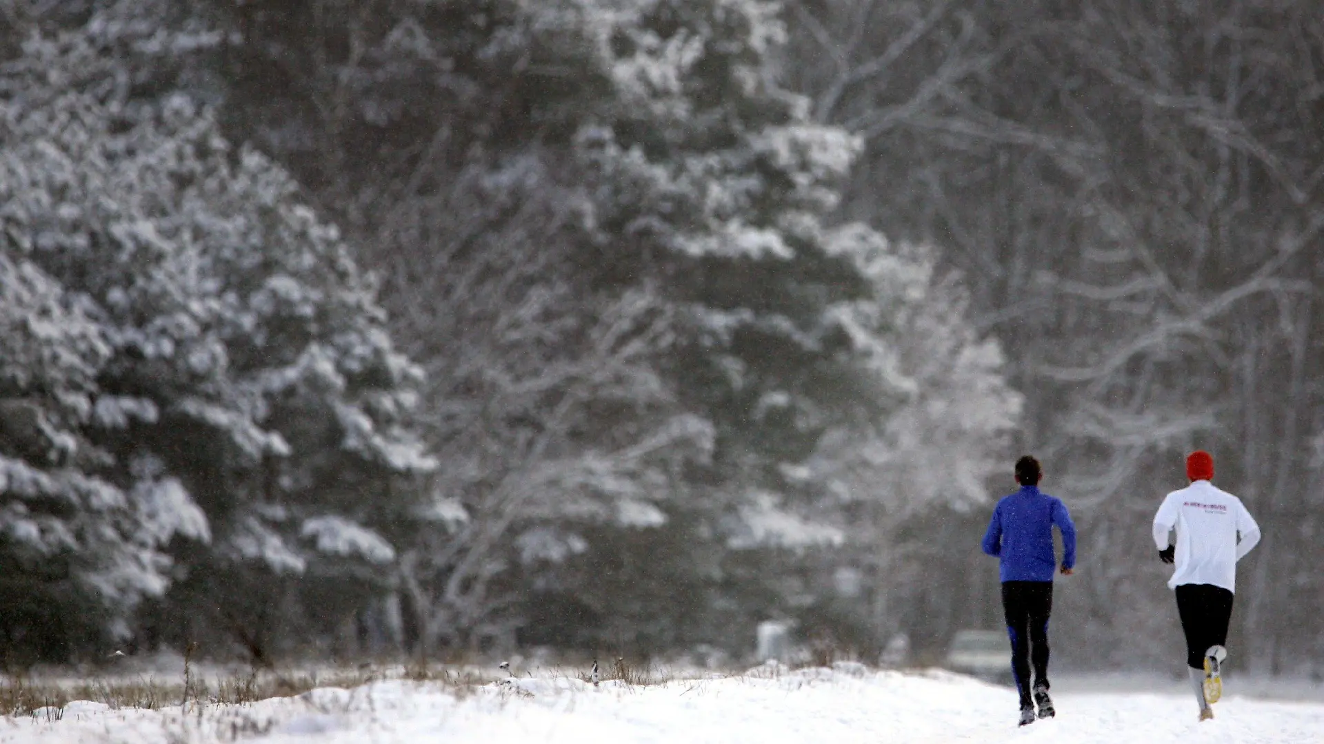 Bei Schneetreiben laufen zwei Jogger am Mittwoch (28.12.2005) auf einem Feldweg bei Heusenstamm (Kreis Offenbach) in den verschneiten Wald. Der Winter zeigt sich von seiner typischen Seite mit Schneefall und Temperaturen um null Grad. Foto: Frank May dpa/lhe  +++(c) dpa - Bildfunk+++