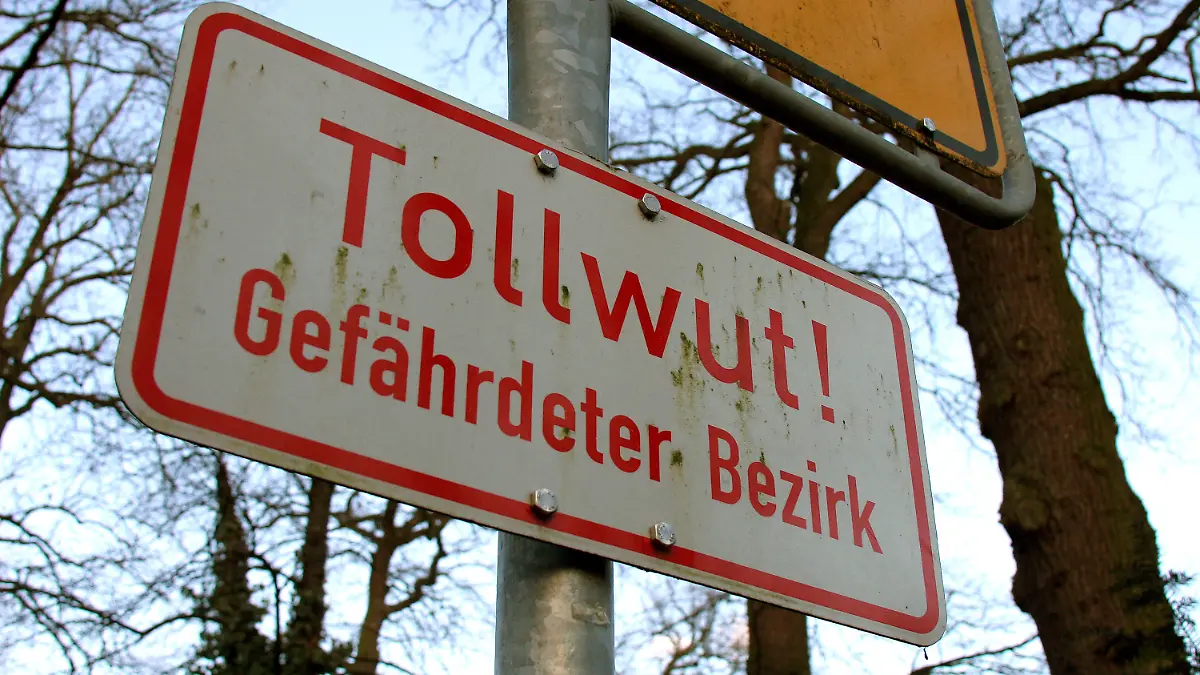 Mit einem Schild wird auf einen tollwutgefährdeten Bezirk hingewiesen, aufgenommen am 28.02.2005 bei Frankfurt am Main. Foto: Heiko Wolfraum +++(c) dpa - Report+++