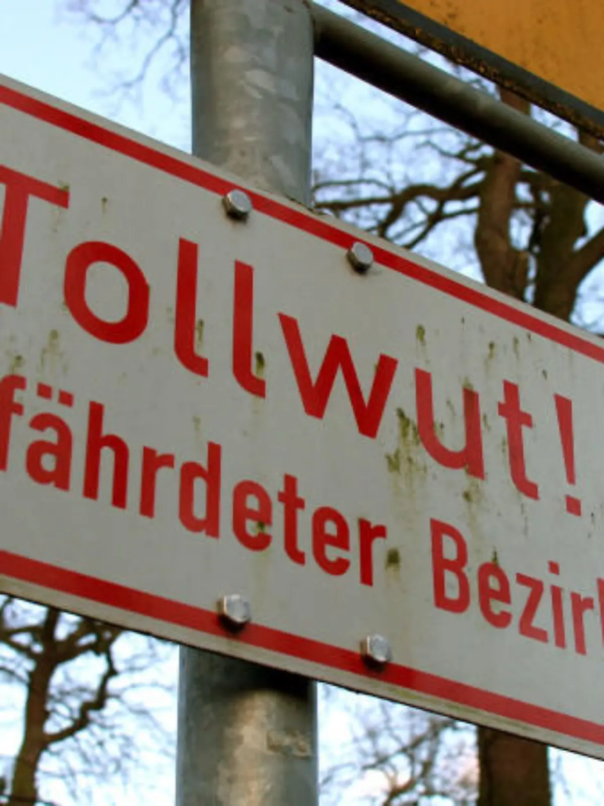 unbekannt