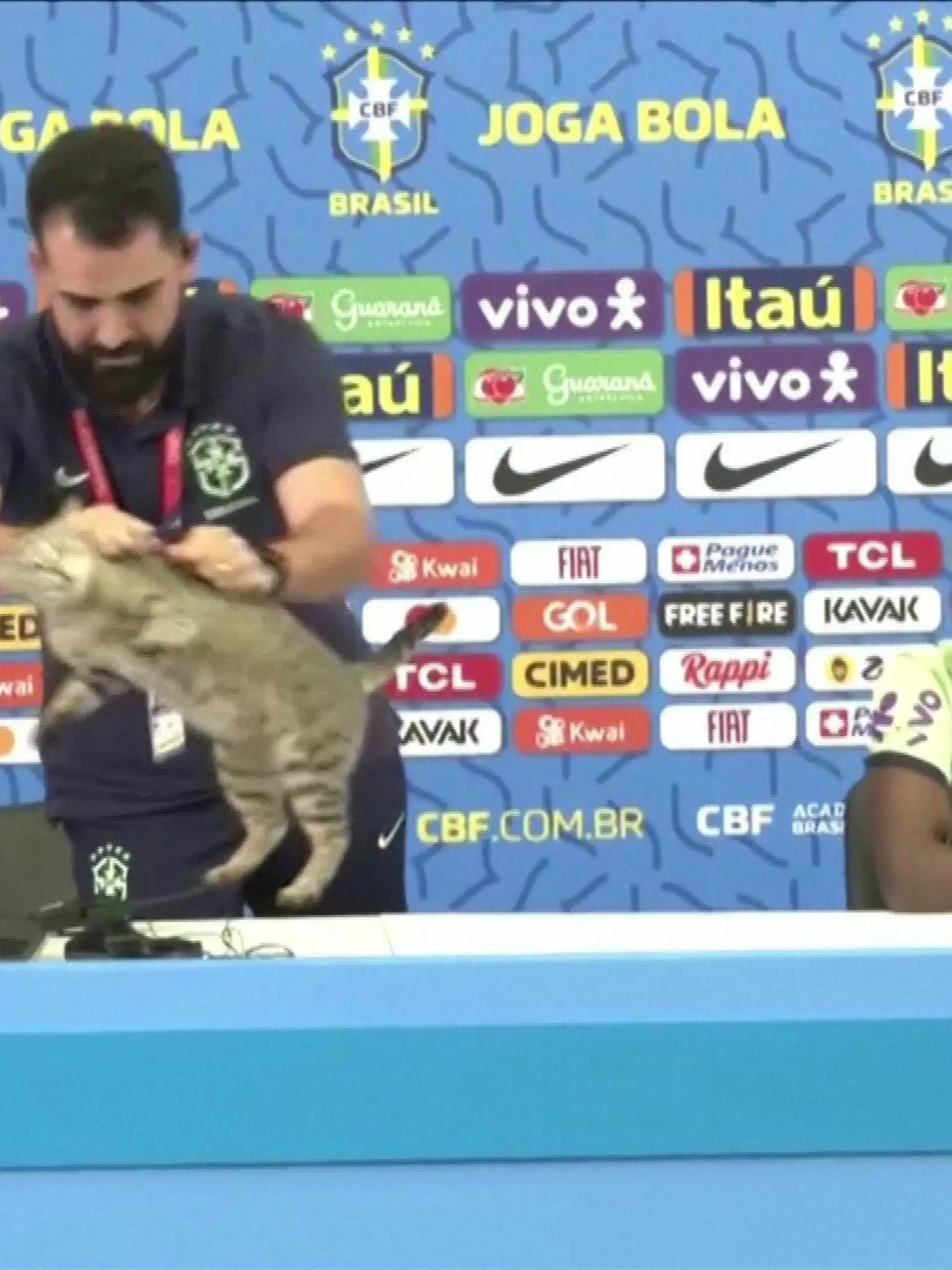 Brasiliens Pressesprecher schmeißt während einer Pressekonferenz eine Katze vom Tisch.