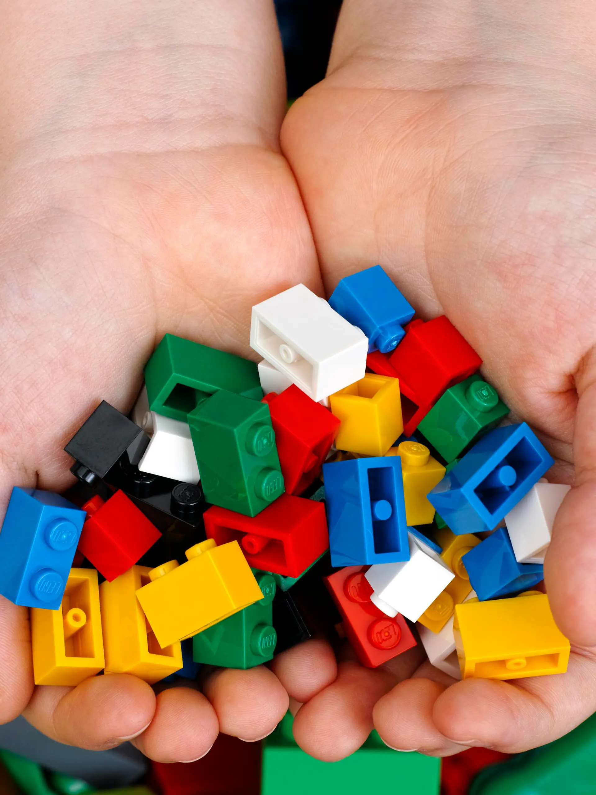 Tambov, Russian Federation - February 20, 2015 Lego Bricks in child's hands with Lego Duplo blocks and toys background. Studio shot.