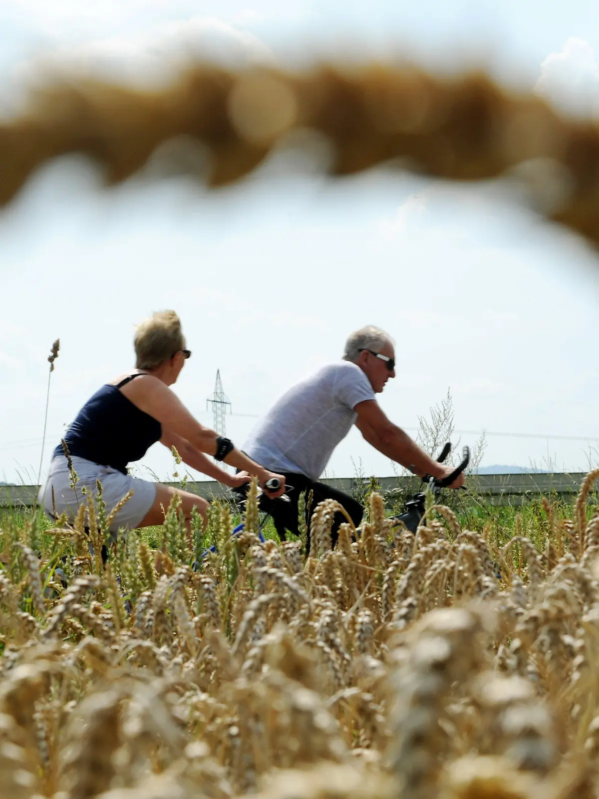 Zwei Radler fahren am Donerstag (04.08.2011) bei heißem Sommerwetter an einem reifen Weizenfeld bei Wabern (Schwalm-Eder-Kreis) vorbei. Das kurze Sommerwetter scheint nach Meteorologenangaben bereits wieder vorbei zu sein. Für das Wochenende wird es kühler und feucht von oben. Der wechselhafte Sommer 2011 bleibt sich damit treu. Foto: Uwe Zucchi dpa/lhe  +++(c) dpa - Bildfunk+++