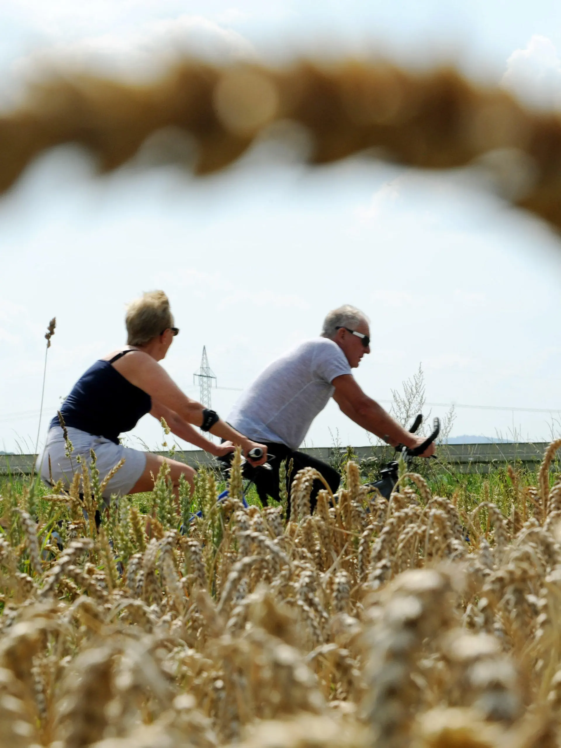 Zwei Radler fahren am Donerstag (04.08.2011) bei heißem Sommerwetter an einem reifen Weizenfeld bei Wabern (Schwalm-Eder-Kreis) vorbei. Das kurze Sommerwetter scheint nach Meteorologenangaben bereits wieder vorbei zu sein. Für das Wochenende wird es kühler und feucht von oben. Der wechselhafte Sommer 2011 bleibt sich damit treu. Foto: Uwe Zucchi dpa/lhe  +++(c) dpa - Bildfunk+++