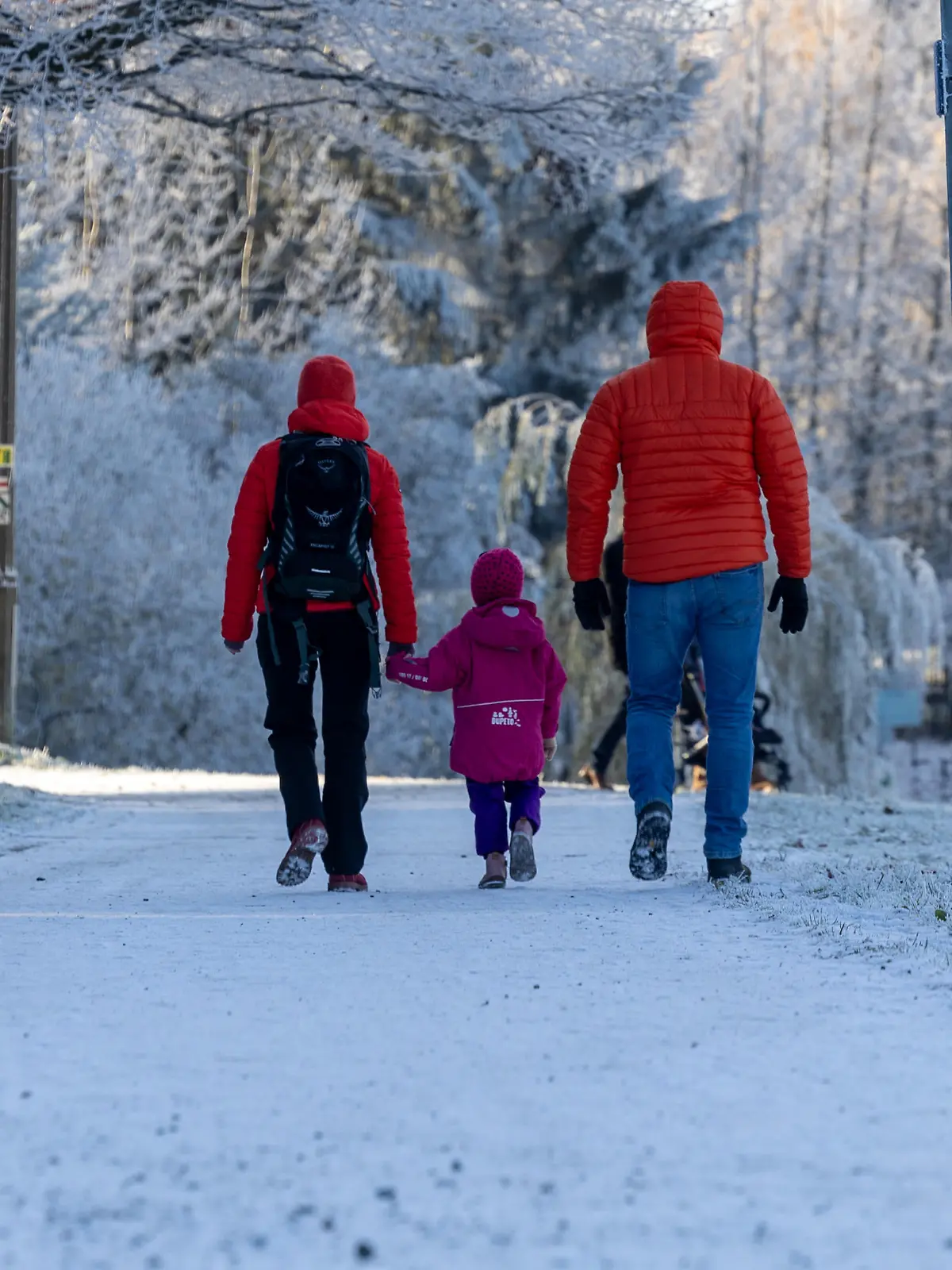 Menschen gehen auf einen verschneiten Weg spazieren. Im Erzgebirge gingen zwei bis drei Zentimeter Neuschnee nieder.