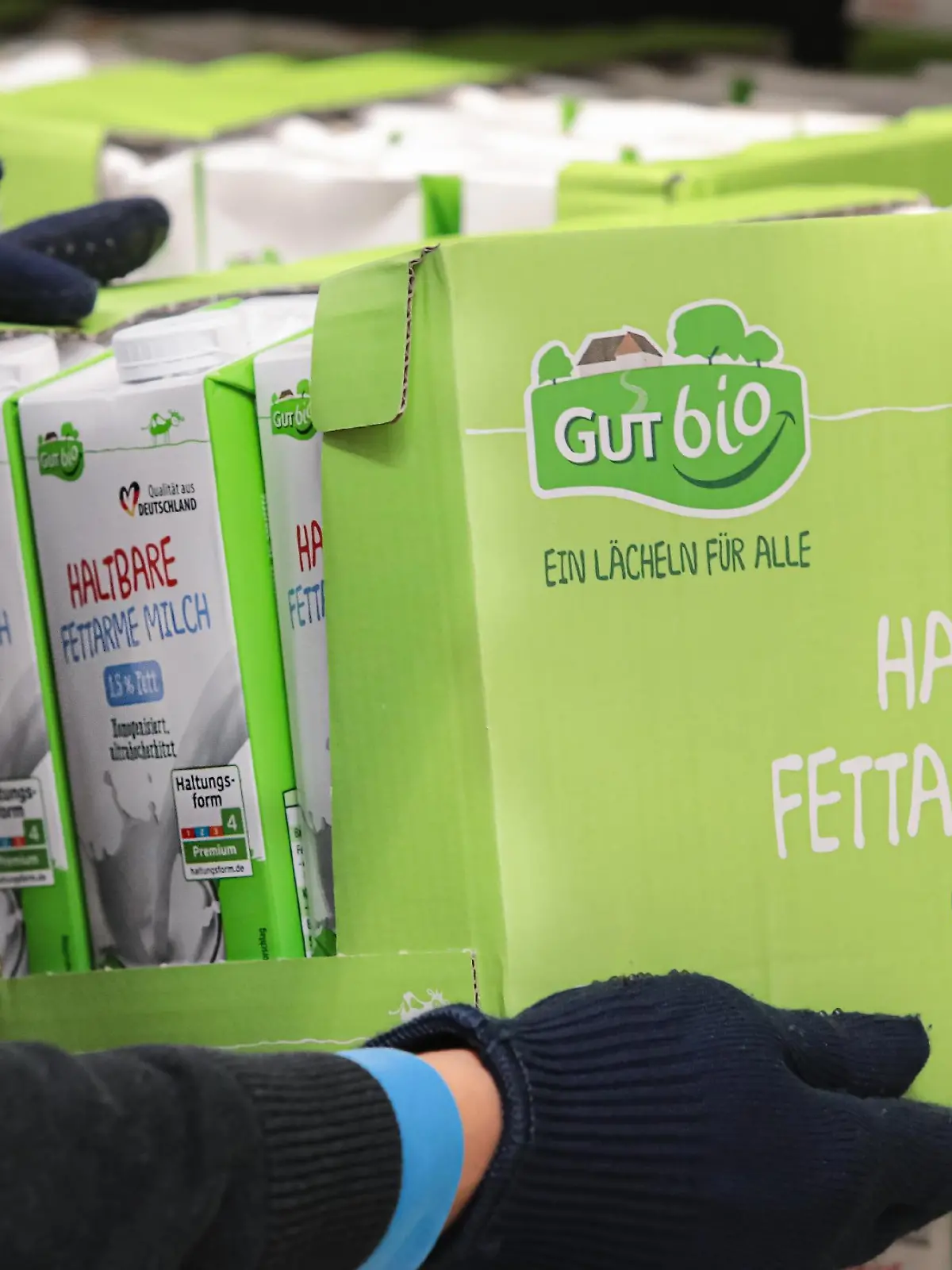 Aldi stellt ab 2024 Trinkmilch vollständig auf höhere Haltungsformen um.