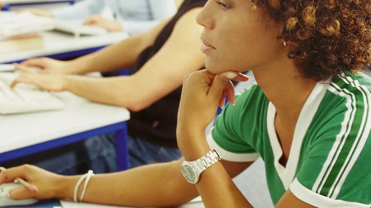 Studenten/Schüler sitzen im Informatikkurs.