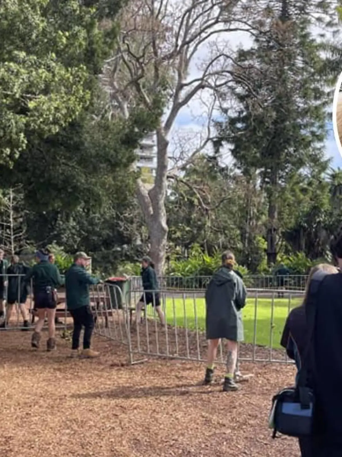 Im Zoo von Perth ist ein Affe ausgebrochen.