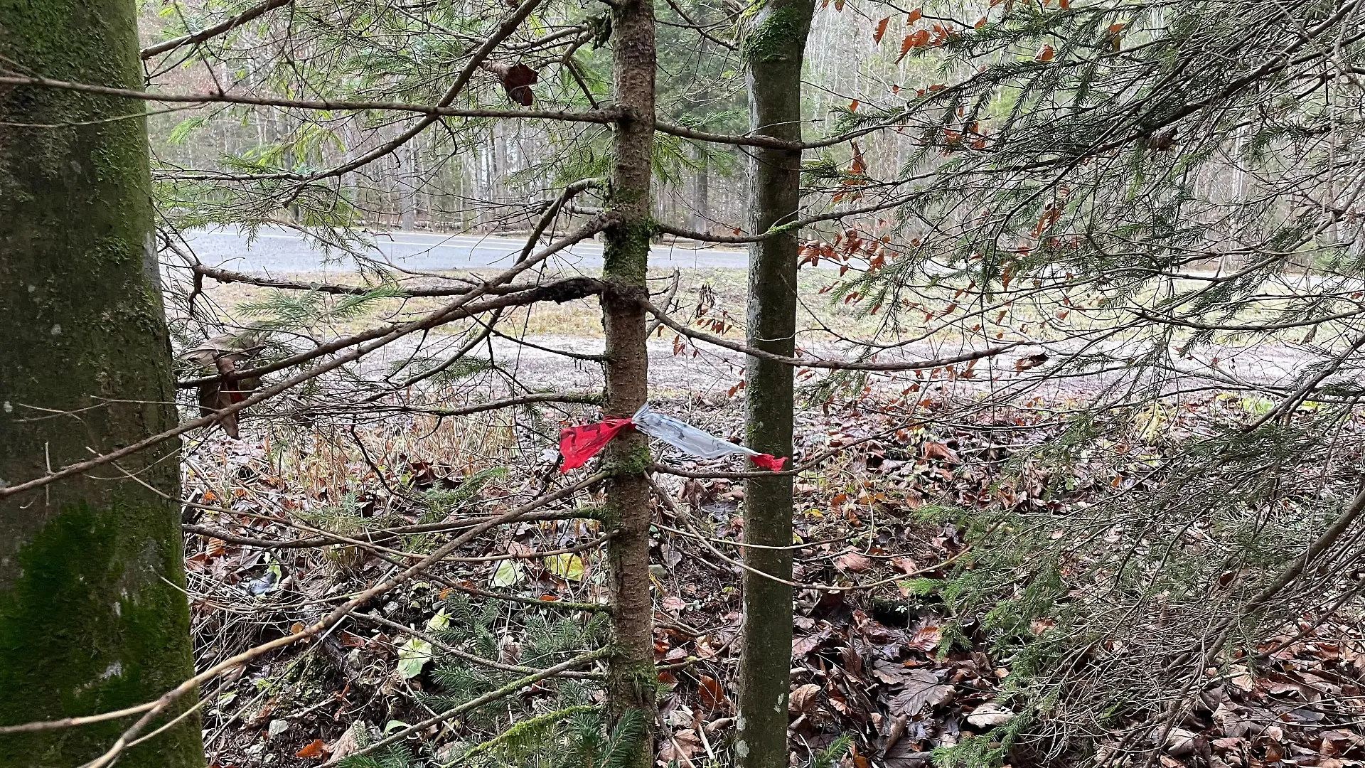 Totes Baby an Wanderparkplatz gefunden