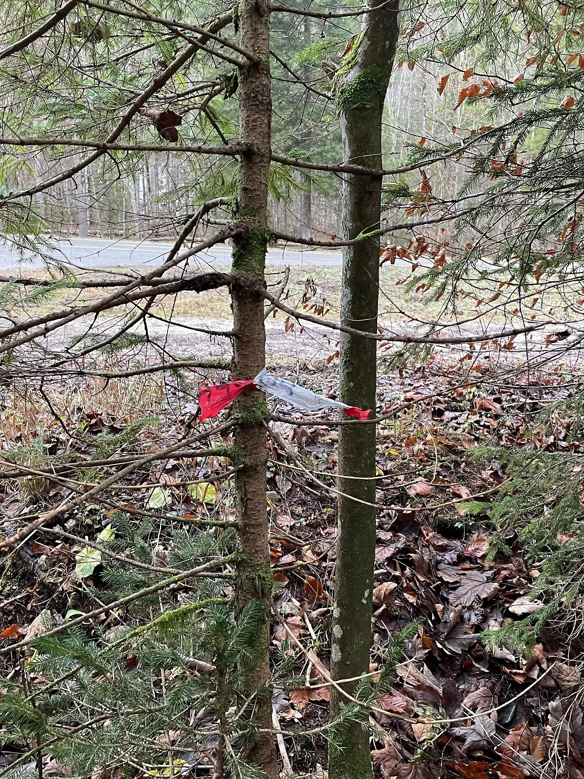 Totes Baby an Wanderparkplatz gefunden