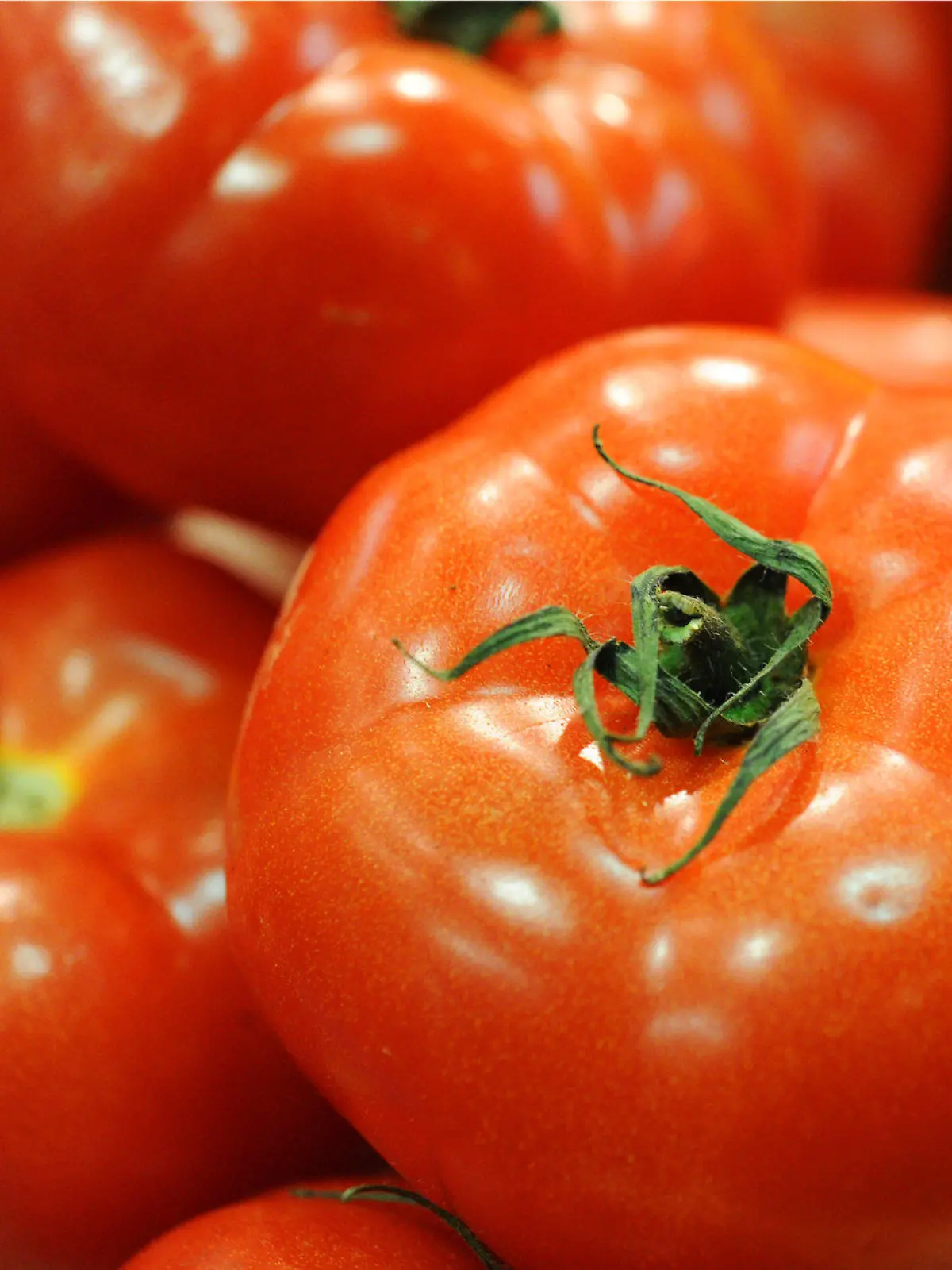 ARCHIV - Die Bildkombo zeigt ein Salatblatt (l), Tomaten (M) und Gurken. Die wegen der EHEC-Epidemie geltende Warnung vor dem Verzehr roher Tomaten, Gurken und Blattsalate wird nach dpa-Informationen aufgehoben. Die Warnung für Sprossen bleibt dagegen bestehen. Fotos: Stratenschulte/Pleul dpa (zu dpa 0128 vom 10.06.2011)  +++(c) dpa - Bildfunk+++