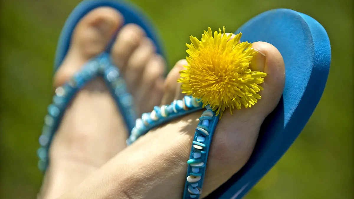 ARCHIV - ILLUSTRATION - Ein Frau trägt am 13.04.2009 in Berlin ein Paar Flip-Flops, verziert mit Löwenzahn. Flip-Flop-Wetter zu Ostern: Bei hochsommerlichen Temperaturen bis zu 25 Grad haben die Menschen in Deutschland den Ostersonntag hauptsächlich im Freien genossen. Foto: Arno Burgi dpa (zu dpa "Sommer-ABC 2010" vom 31.05.)  +++(c) dpa - Bildfunk+++