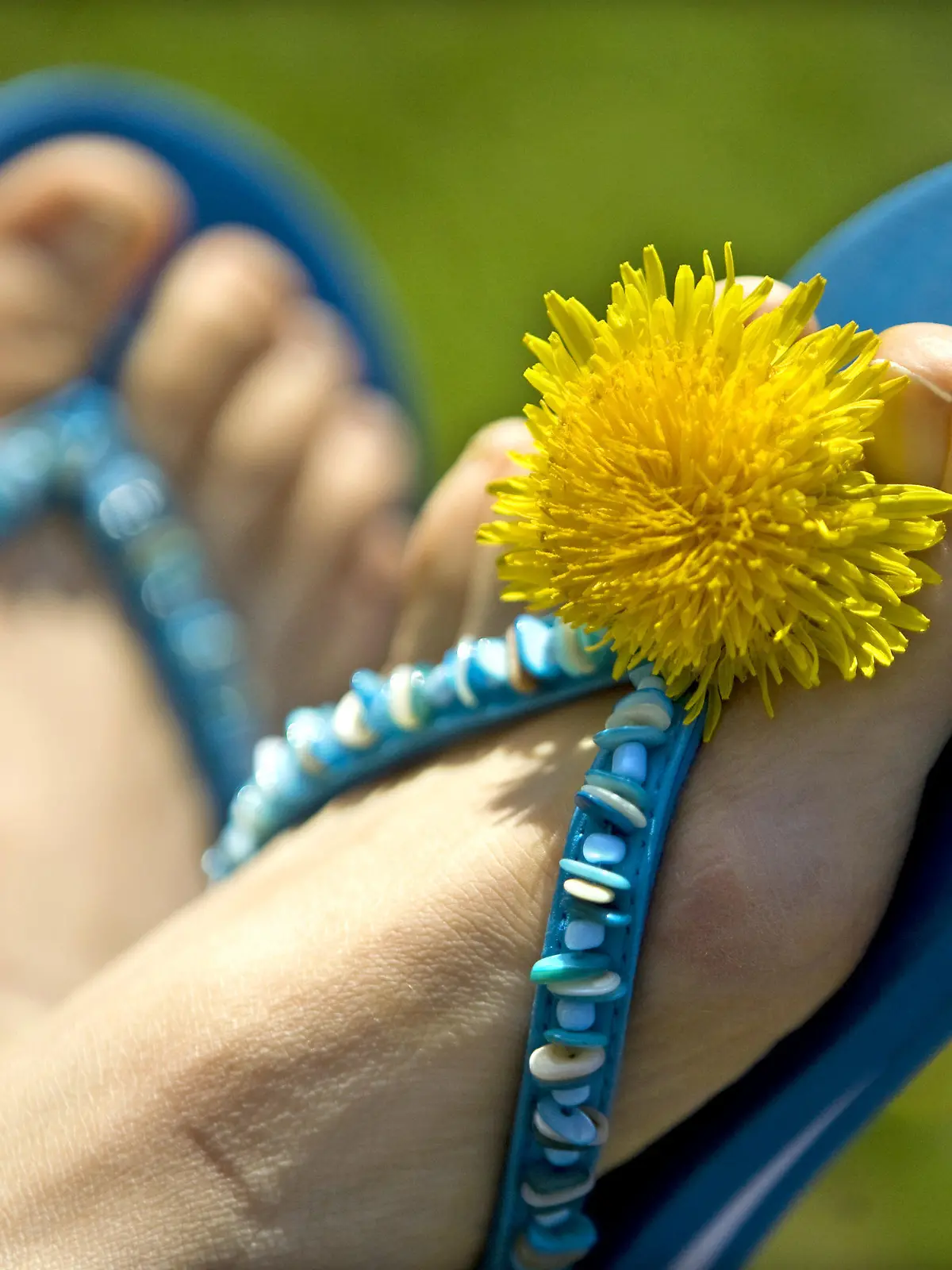 ARCHIV - ILLUSTRATION - Ein Frau trägt am 13.04.2009 in Berlin ein Paar Flip-Flops, verziert mit Löwenzahn. Flip-Flop-Wetter zu Ostern: Bei hochsommerlichen Temperaturen bis zu 25 Grad haben die Menschen in Deutschland den Ostersonntag hauptsächlich im Freien genossen. Foto: Arno Burgi dpa (zu dpa "Sommer-ABC 2010" vom 31.05.)  +++(c) dpa - Bildfunk+++
