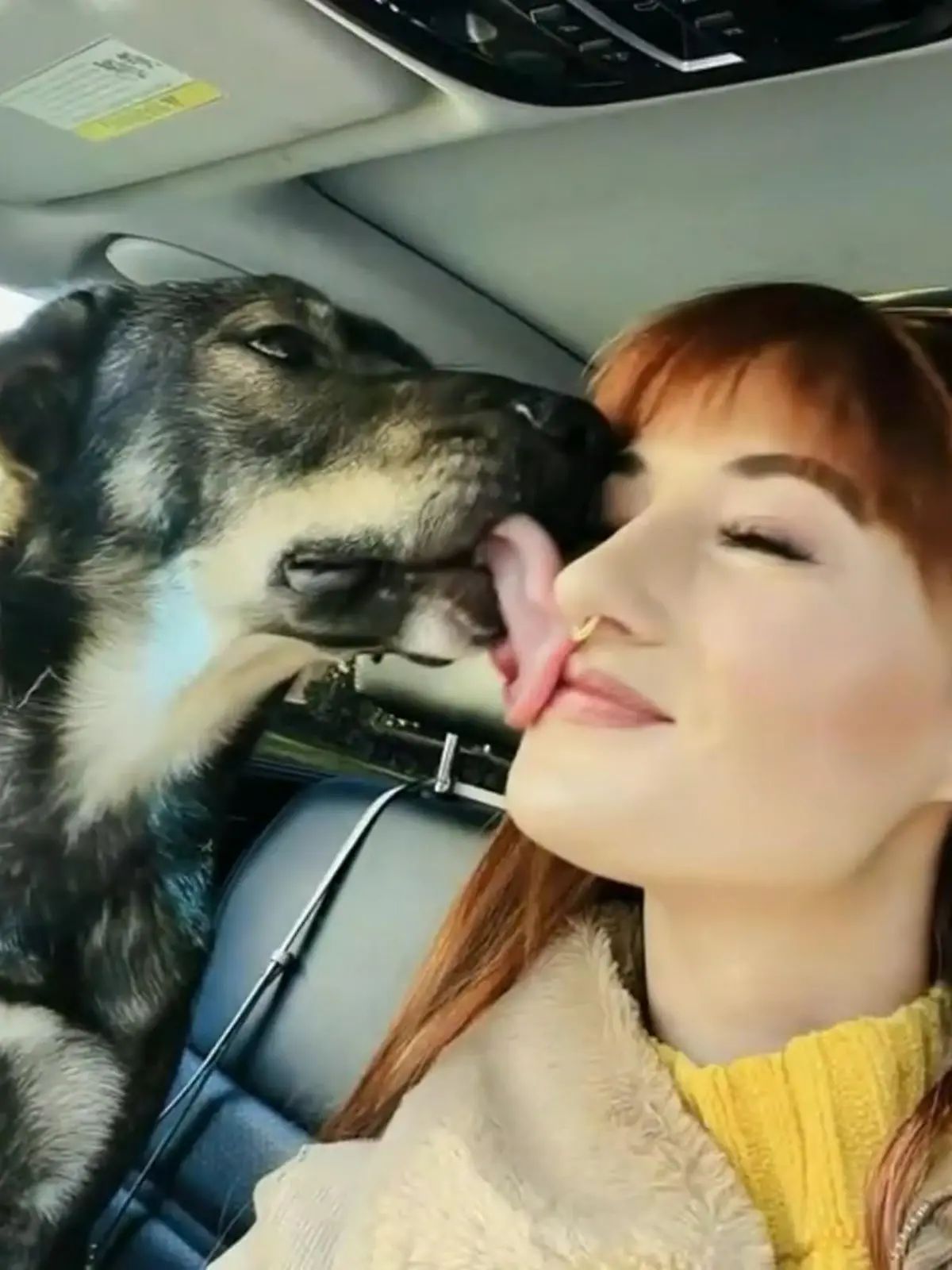Vyctorias Servicehund Maverick bekommt auf einem Festplatz von Weihnachtslichtern einen Elektroschock – und stirbt.