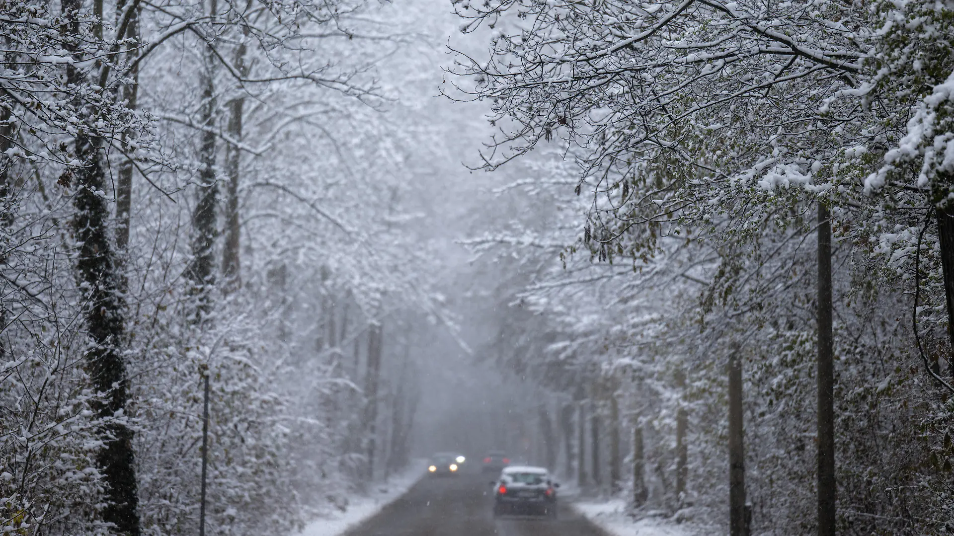 02.12.2022, Sachsen, Leipzig: Autos fahren durch den verschneiten Auwald in Leipzig. Über Nacht ist der Winter in Sachsen eingezogen mit Schneefall bis ins Tiefland. Foto: Hendrik Schmidt/dpa +++ dpa-Bildfunk +++