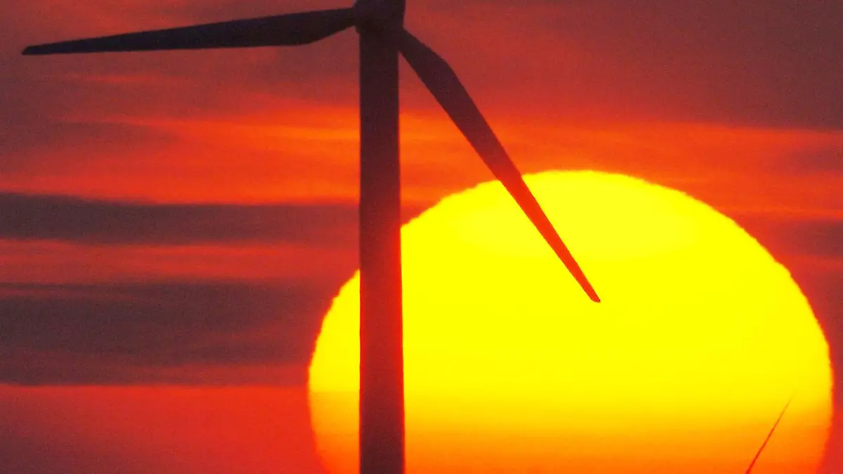 ARCHIV - Die Sonne geht hinter einem Windkraftrad in der Nähe von Flensburg unter (Archivfoto vom 28.03.2005). Nach Angaben des Bundesverbandes Erneuerbare Energien kletterte 2007 die Produktion um 18 Prozent und der Anteil der Erneuerbaren Energien am gesamten Stromverbrauch auf 14, 3 Prozent. Foto: Maurizio Gambarini dpa/lnw (zu lnw-KORR: Boom bei Ökostrom" vom 16.04.2008) +++(c) dpa - Bildfunk+++