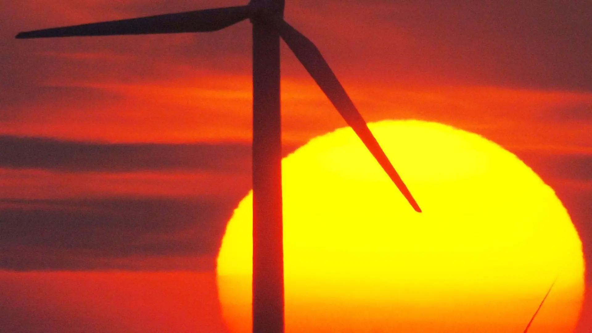 ARCHIV - Die Sonne geht hinter einem Windkraftrad in der Nähe von Flensburg unter (Archivfoto vom 28.03.2005). Nach Angaben des Bundesverbandes Erneuerbare Energien kletterte 2007 die Produktion um 18 Prozent und der Anteil der Erneuerbaren Energien am gesamten Stromverbrauch auf 14, 3 Prozent. Foto: Maurizio Gambarini dpa/lnw (zu lnw-KORR: Boom bei Ökostrom" vom 16.04.2008) +++(c) dpa - Bildfunk+++