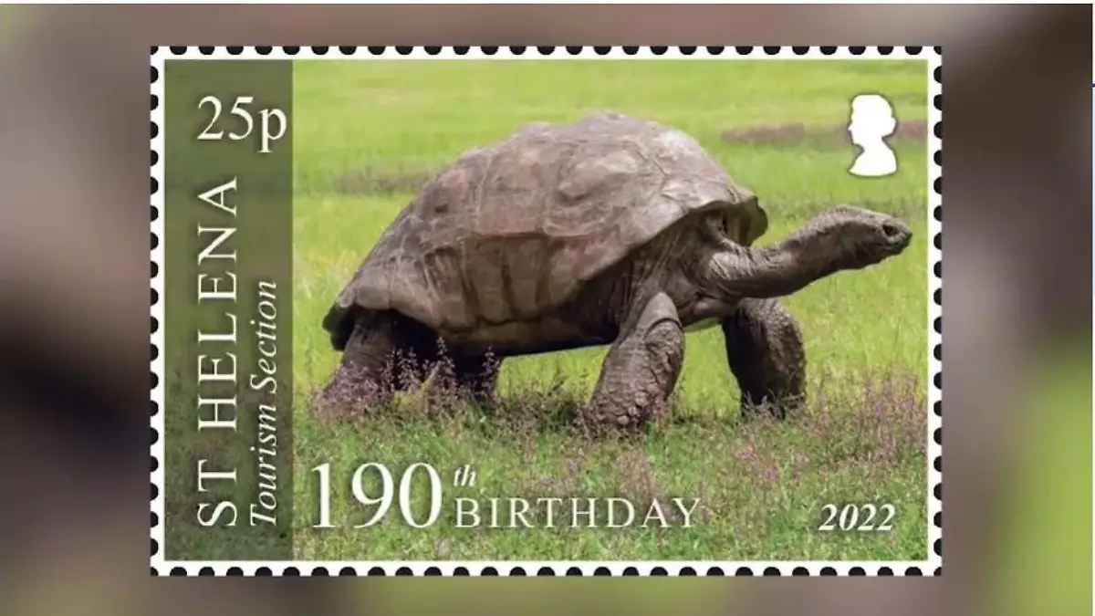 Briefmarke mit Schildkröte Jonathan darauf.