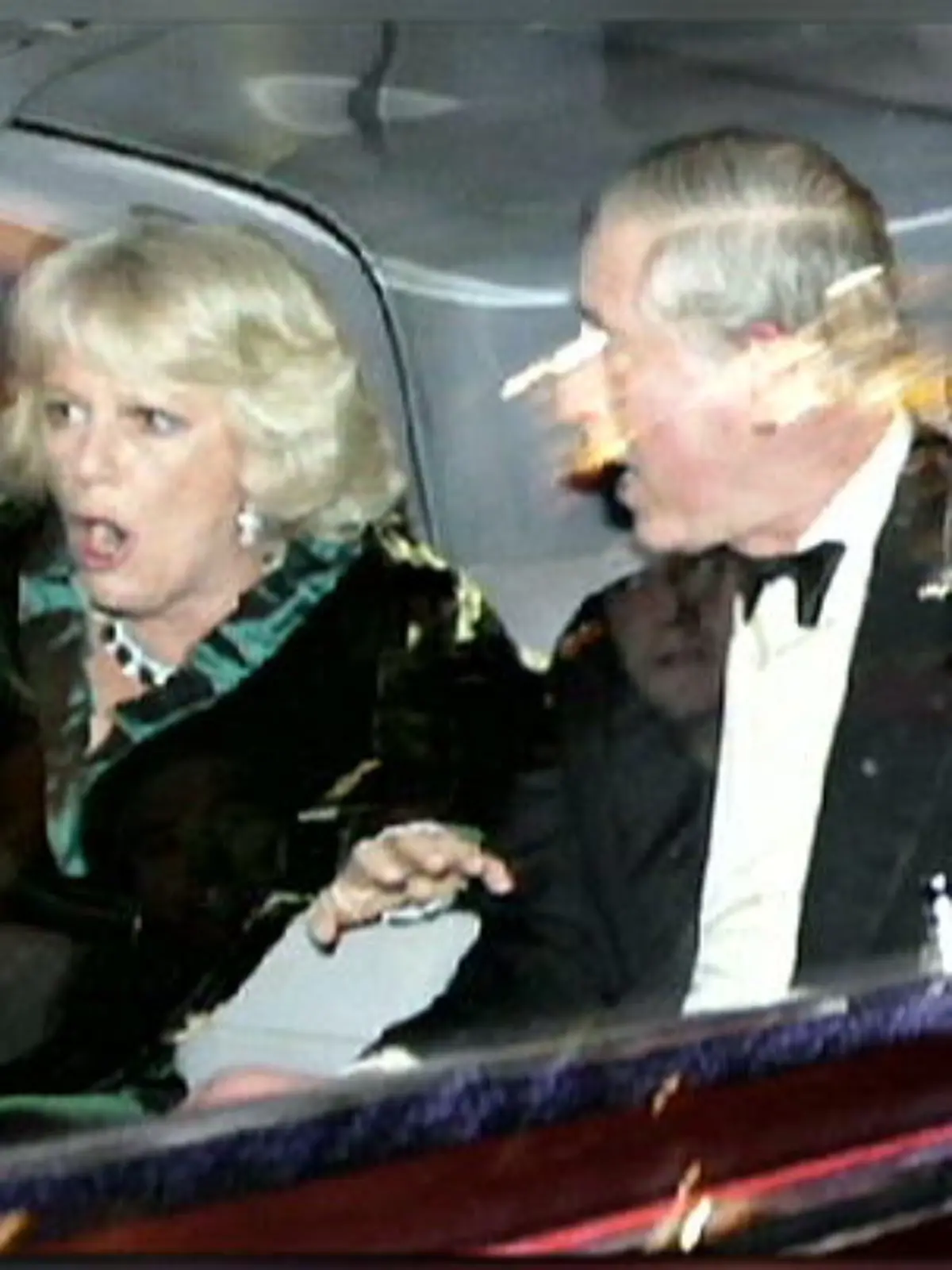 charles camilla
