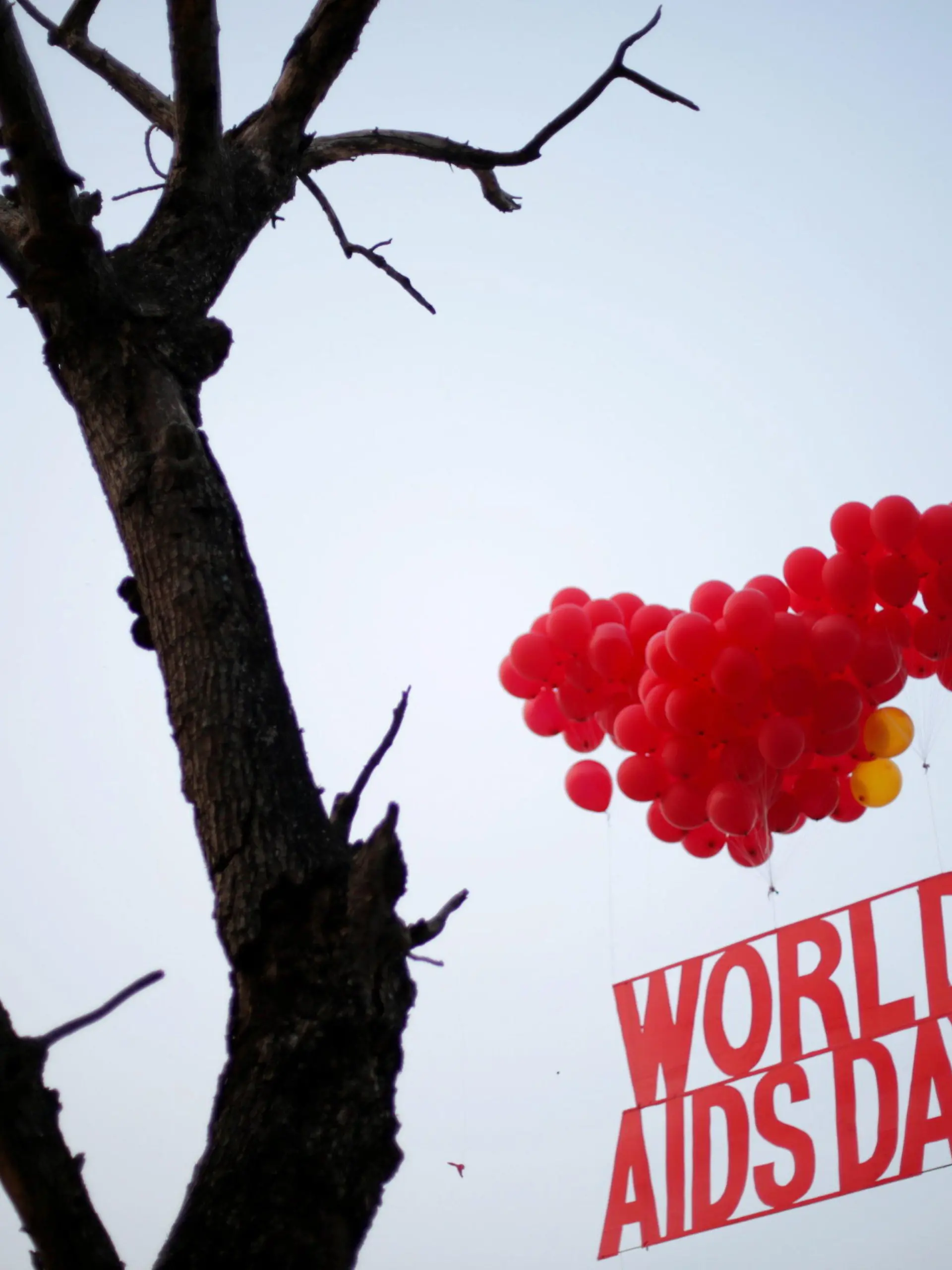 epa05653457 Activists release balloons during an AIDS awareness campaign on the eve of World AIDS Day near Howrah Bridge, on the bank of river Gangesin Calcutta, eastern India, 30 November 2016. World AIDS Day is observed every 01 December with calls from international health and advocacy organizations for the public to get involved in programs for awareness, prevention and treatment of HIV/AIDS. EPA/PIYAL ADHIKARY +++(c) dpa - Bildfunk+++