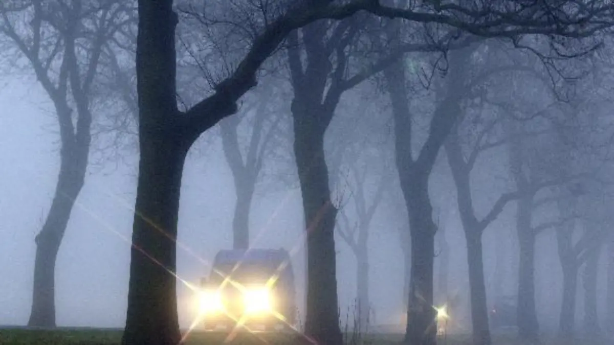 Dichter Nebel herrscht in den frühen Morgenstunden des 27.11.2001 auf der Bundesstraße 5 in Brandenburg und behindert den Berufsverkehr.
