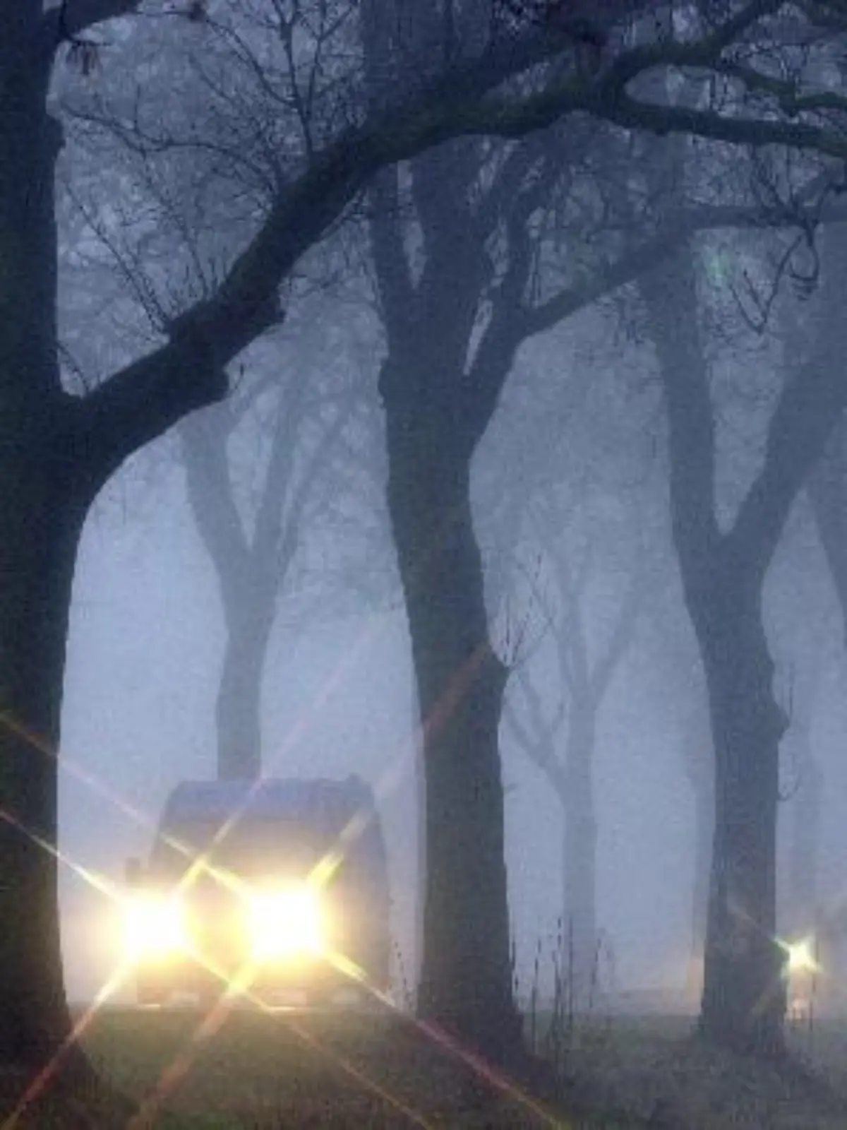 Dichter Nebel herrscht in den frühen Morgenstunden des 27.11.2001 auf der Bundesstraße 5 in Brandenburg und behindert den Berufsverkehr.