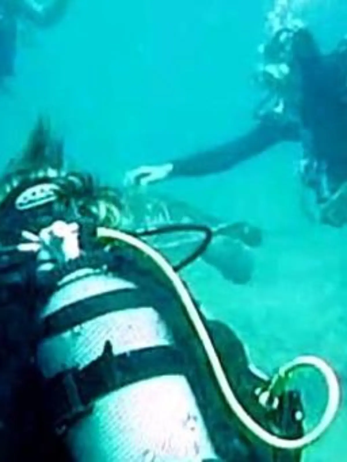 Bild zu: "Wolfgang Bahro taucht ab"