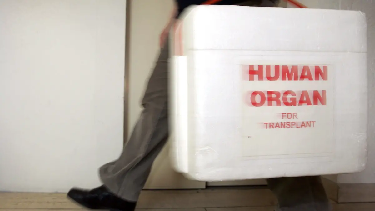 ARCHIV - Eine Mitarbeiterin der Deutschen Stiftung für Organtransplantation in Neu Isenburg (Kreis Offenbach) trägt am 18.02.2005 in einem Gang der Organisation eine spezielle Kühlbox für Spenderorgane. Die Zahl der Organspenden lag in Nordrhein-Westfalen auch im vergangenen Jahr auf niedrigem Niveau. Wie die Deutsche Stiftung Organspende am Donnerstag (24.02.2011) mitteilte, wurden im vergangenen Jahr 256 Menschen nach ihrem Tod Organe entnommen. Das waren drei weniger als im Jahr 2009. Bundesweit gab es insgesamt 1296 Organspender. NRW liegt mit 14,3 Organspenden pro eine Million Einwohner unter dem Bundesdurchschnitt von 15,9 Organspenden. Ende 2010 warteten in NRW fast 4000 Menschen auf ein Spenderorgan. Bundesweit stehen derzeit etwa 12 000 Menschen auf der Warteliste. Foto: Frank May dpa/lnw +++(c) dpa - Bildfunk+++