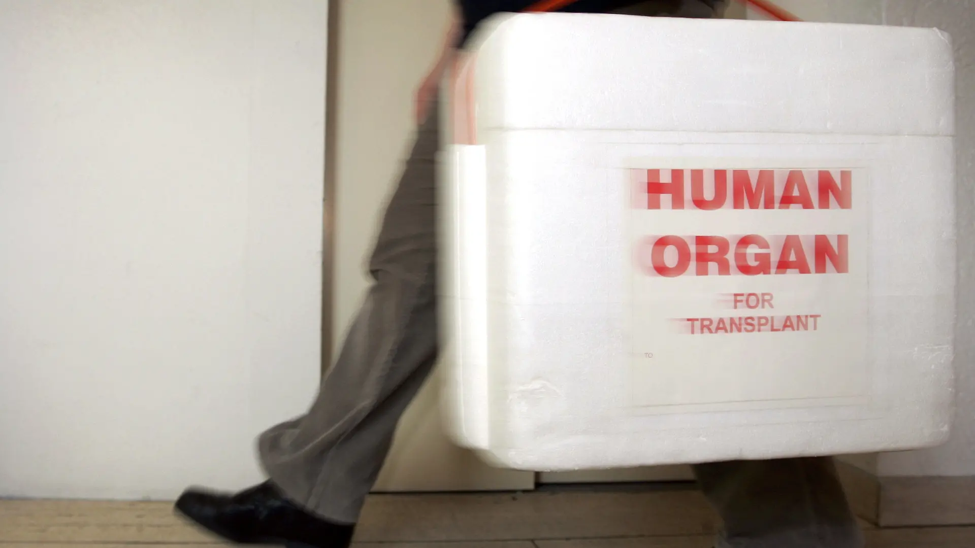 ARCHIV - Eine Mitarbeiterin der Deutschen Stiftung für Organtransplantation in Neu Isenburg (Kreis Offenbach) trägt am 18.02.2005 in einem Gang der Organisation eine spezielle Kühlbox für Spenderorgane. Die Zahl der Organspenden lag in Nordrhein-Westfalen auch im vergangenen Jahr auf niedrigem Niveau. Wie die Deutsche Stiftung Organspende am Donnerstag (24.02.2011) mitteilte, wurden im vergangenen Jahr 256 Menschen nach ihrem Tod Organe entnommen. Das waren drei weniger als im Jahr 2009. Bundesweit gab es insgesamt 1296 Organspender. NRW liegt mit 14,3 Organspenden pro eine Million Einwohner unter dem Bundesdurchschnitt von 15,9 Organspenden. Ende 2010 warteten in NRW fast 4000 Menschen auf ein Spenderorgan. Bundesweit stehen derzeit etwa 12 000 Menschen auf der Warteliste. Foto: Frank May dpa/lnw +++(c) dpa - Bildfunk+++