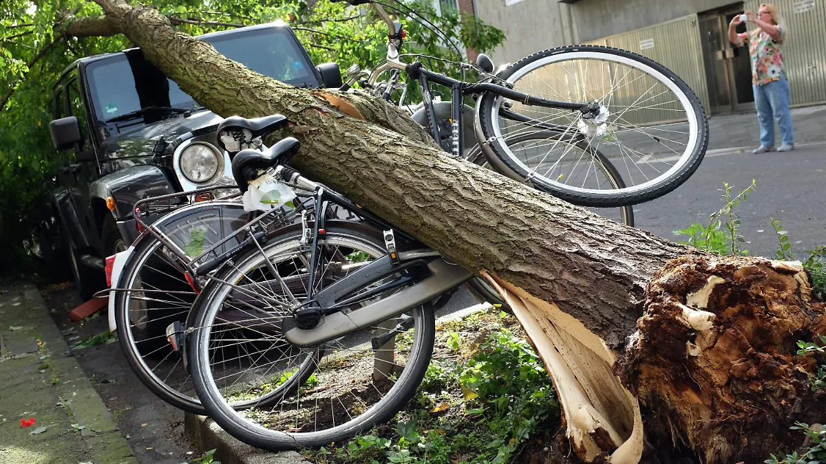 Ein Frau fotografiert am 10.06.2014 in Düsseldorf (Nordrhein-Westfalen) Sturmschäden. Beim schwersten Unwetter in Nordrhein-Westfalen seit Jahren sorgten Sturmböen, Blitzeinschläge und Hagel an vielen Häusern und Autos für Schäden. Foto: Martin Gerten/dpa +++(c) dpa - Bildfunk+++